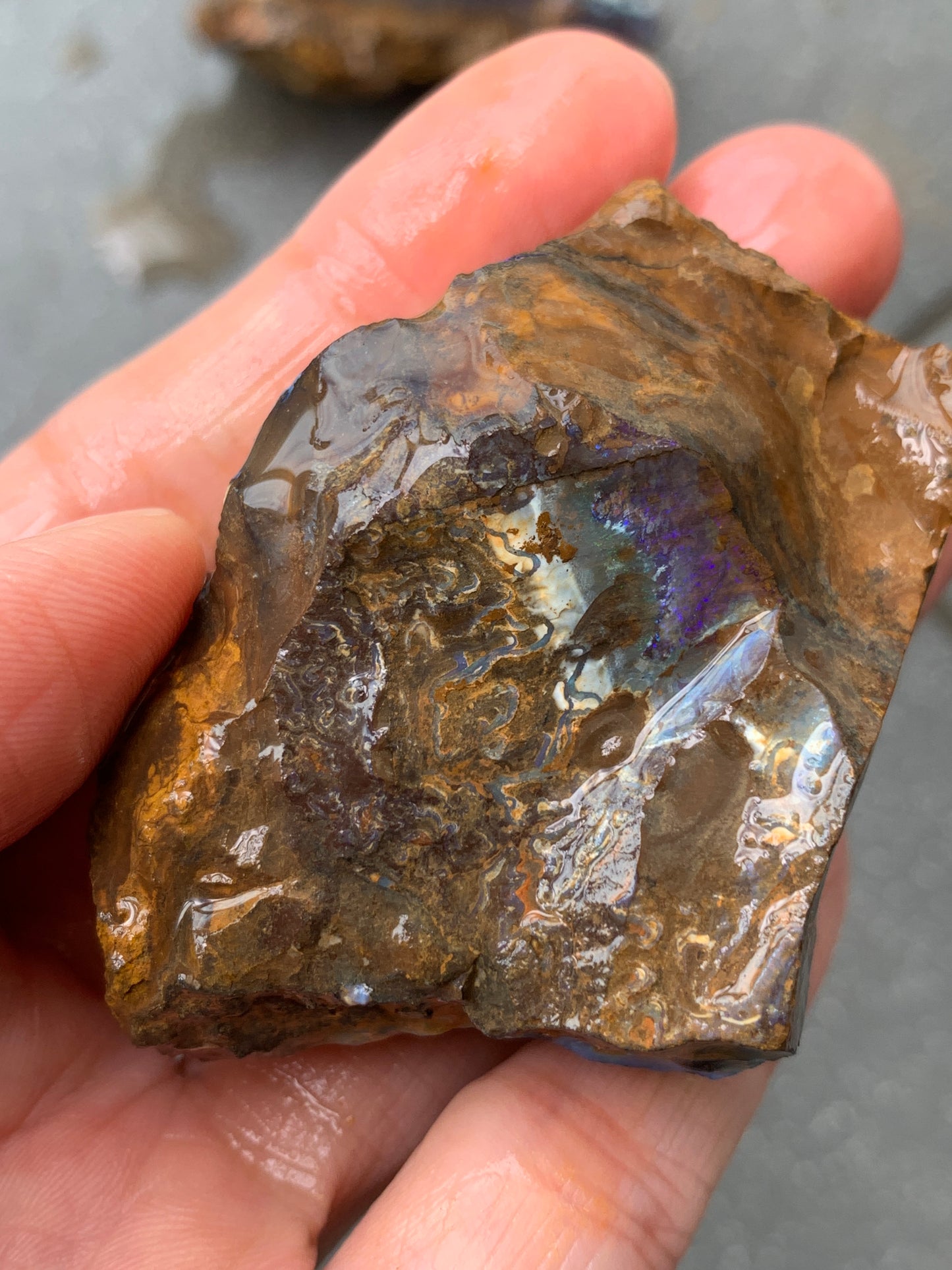 Black Boulder Set. Rough Boulder Opal Rocks. 367 Grams.