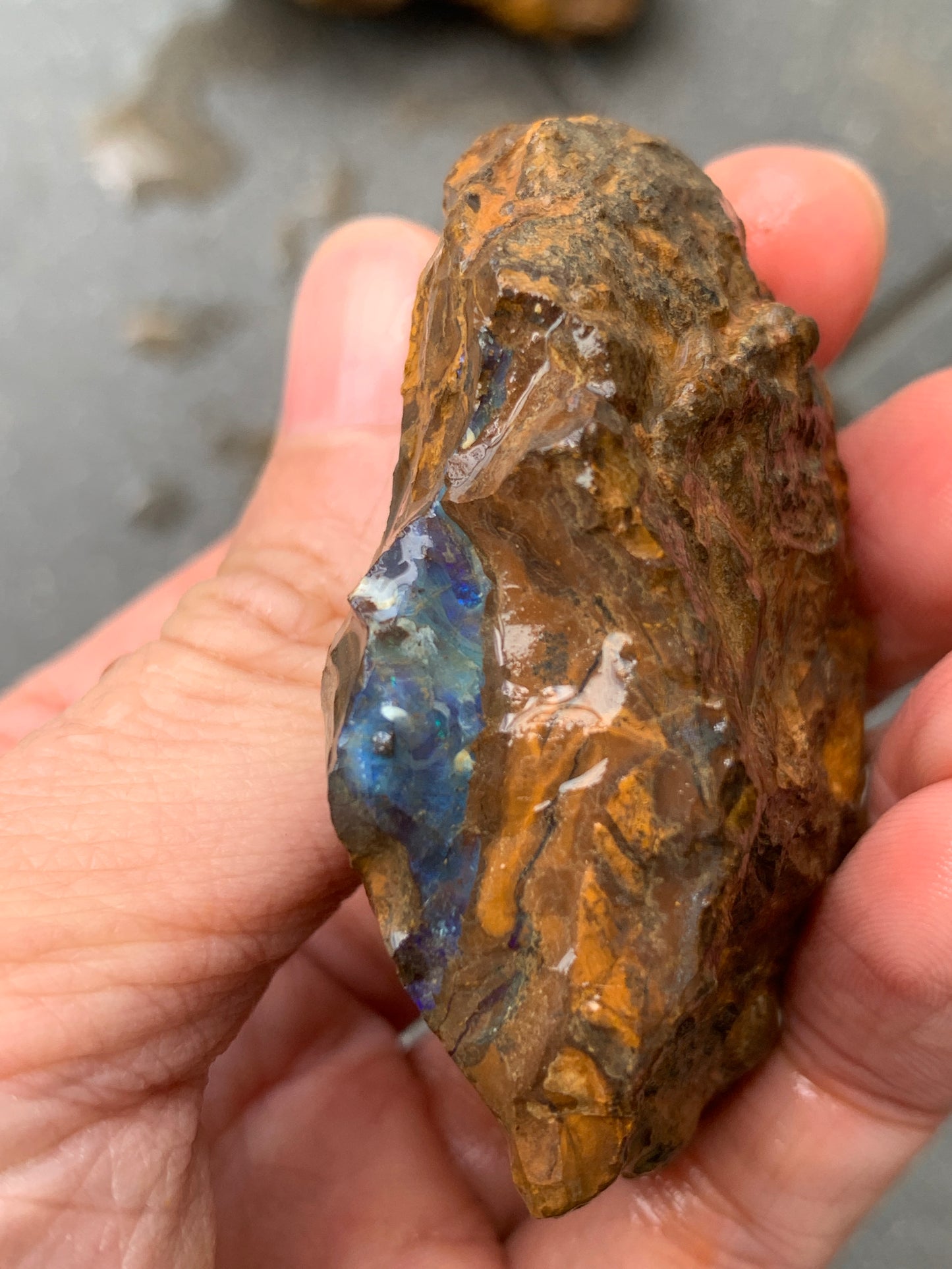 Black Boulder Set. Rough Boulder Opal Rocks. 367 Grams.