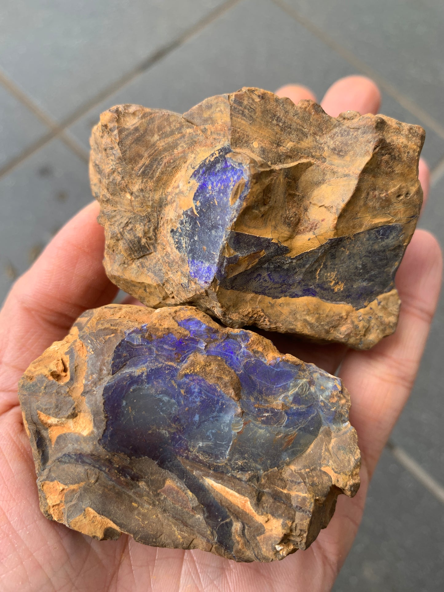 Purple Pair. Rough Boulder Opal Rocks. 303 Grams