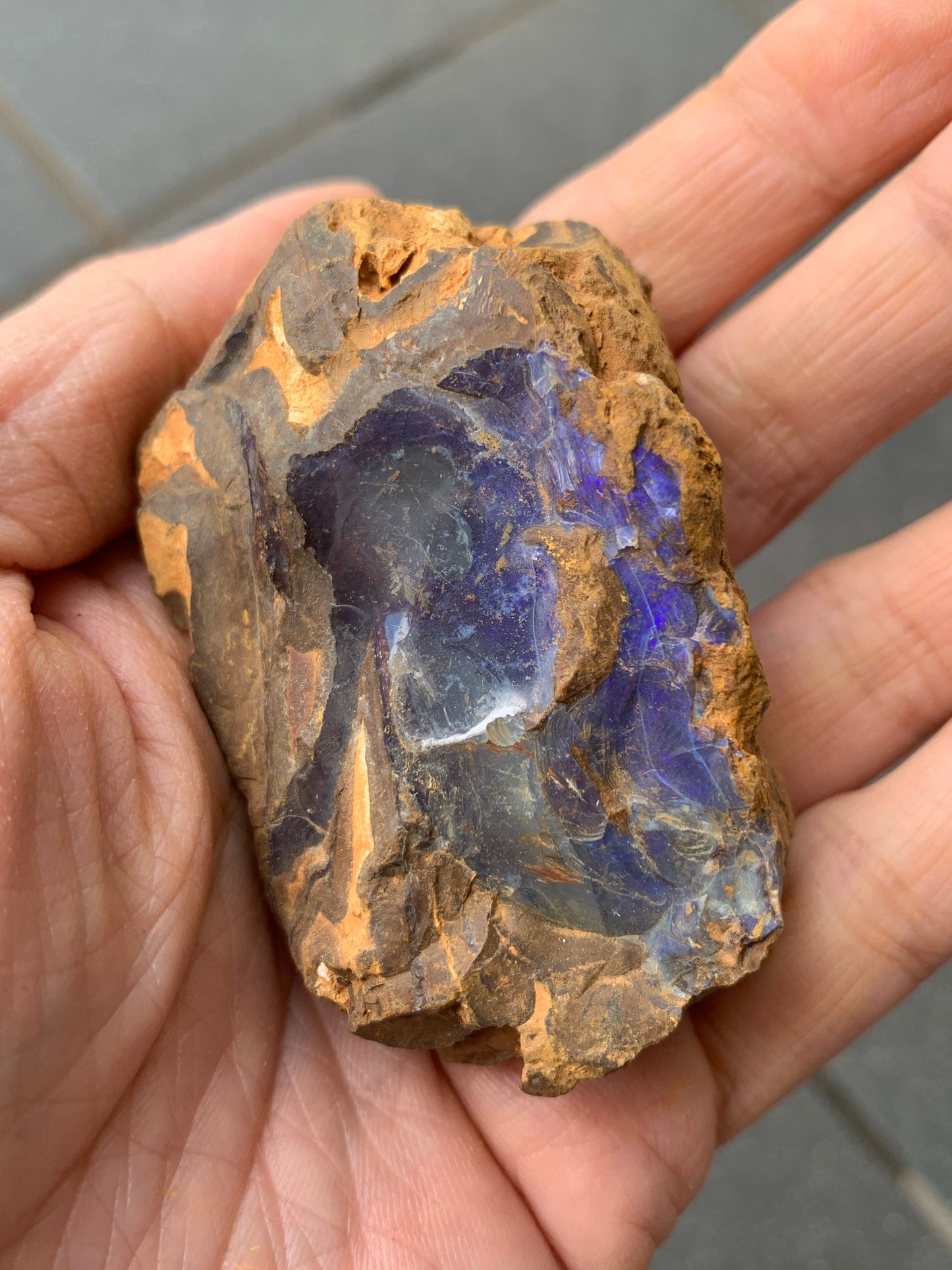 Purple Pair. Rough Boulder Opal Rocks. 303 Grams