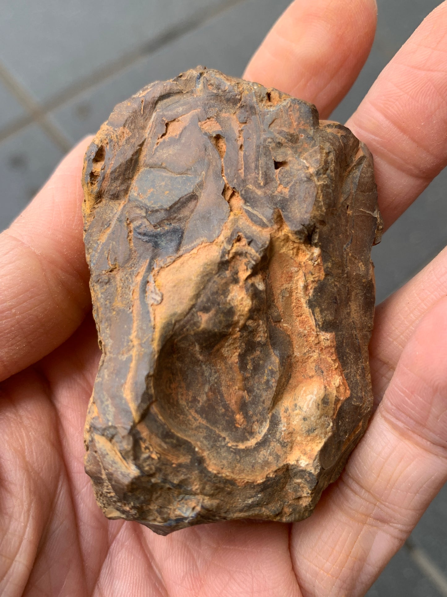 Purple Pair. Rough Boulder Opal Rocks. 303 Grams