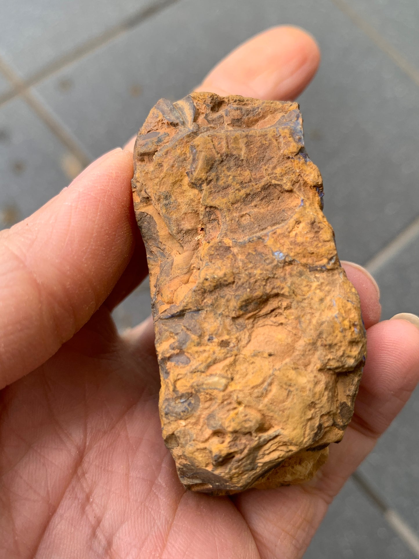 Purple Pair. Rough Boulder Opal Rocks. 303 Grams