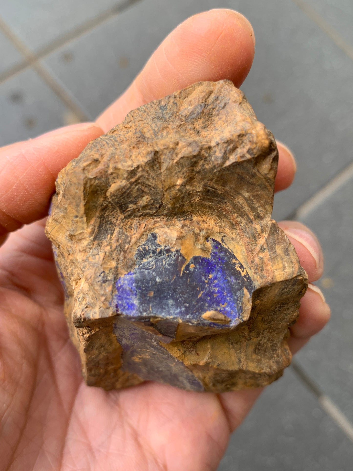 Purple Pair. Rough Boulder Opal Rocks. 303 Grams