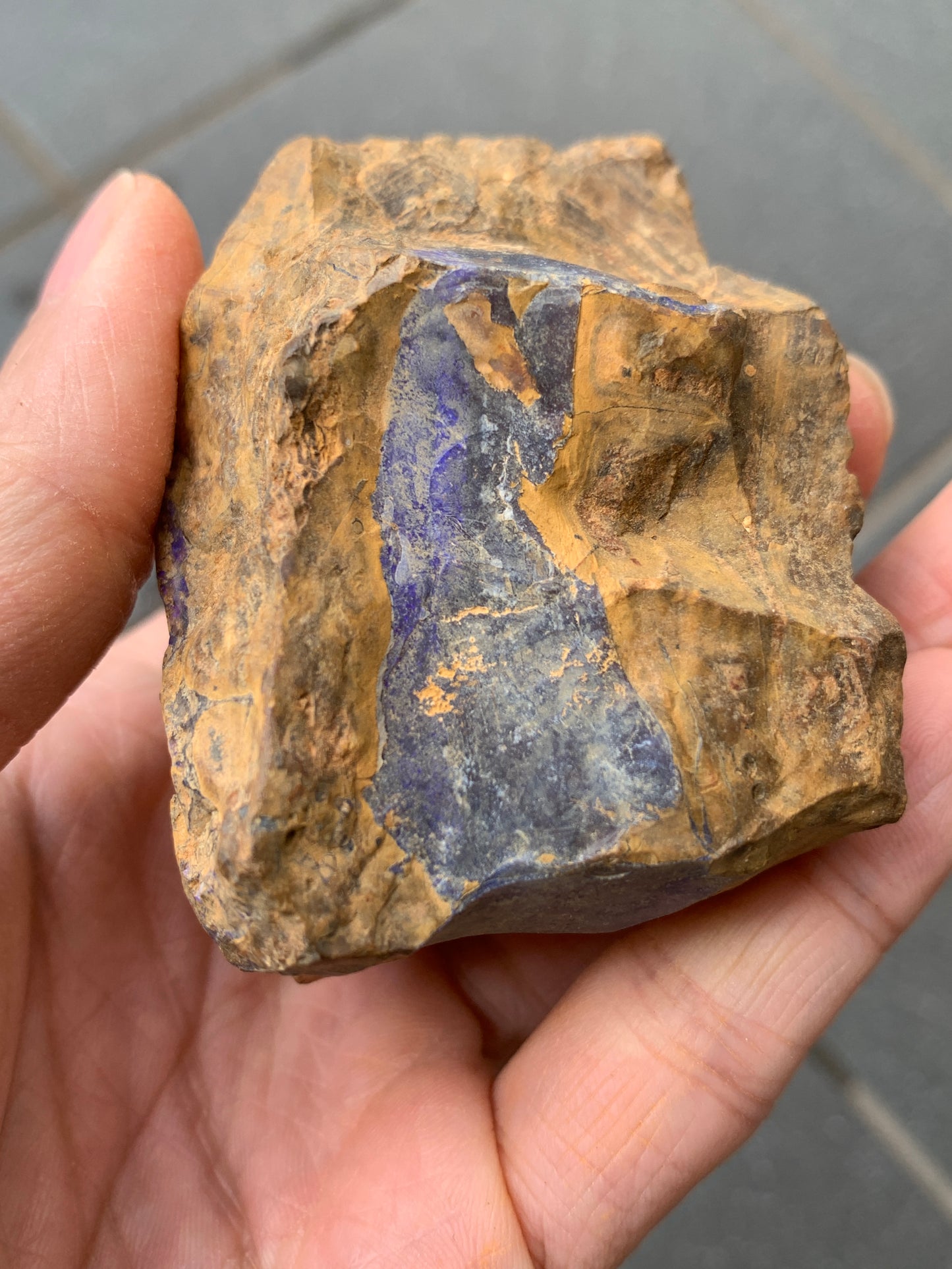 Purple Pair. Rough Boulder Opal Rocks. 303 Grams