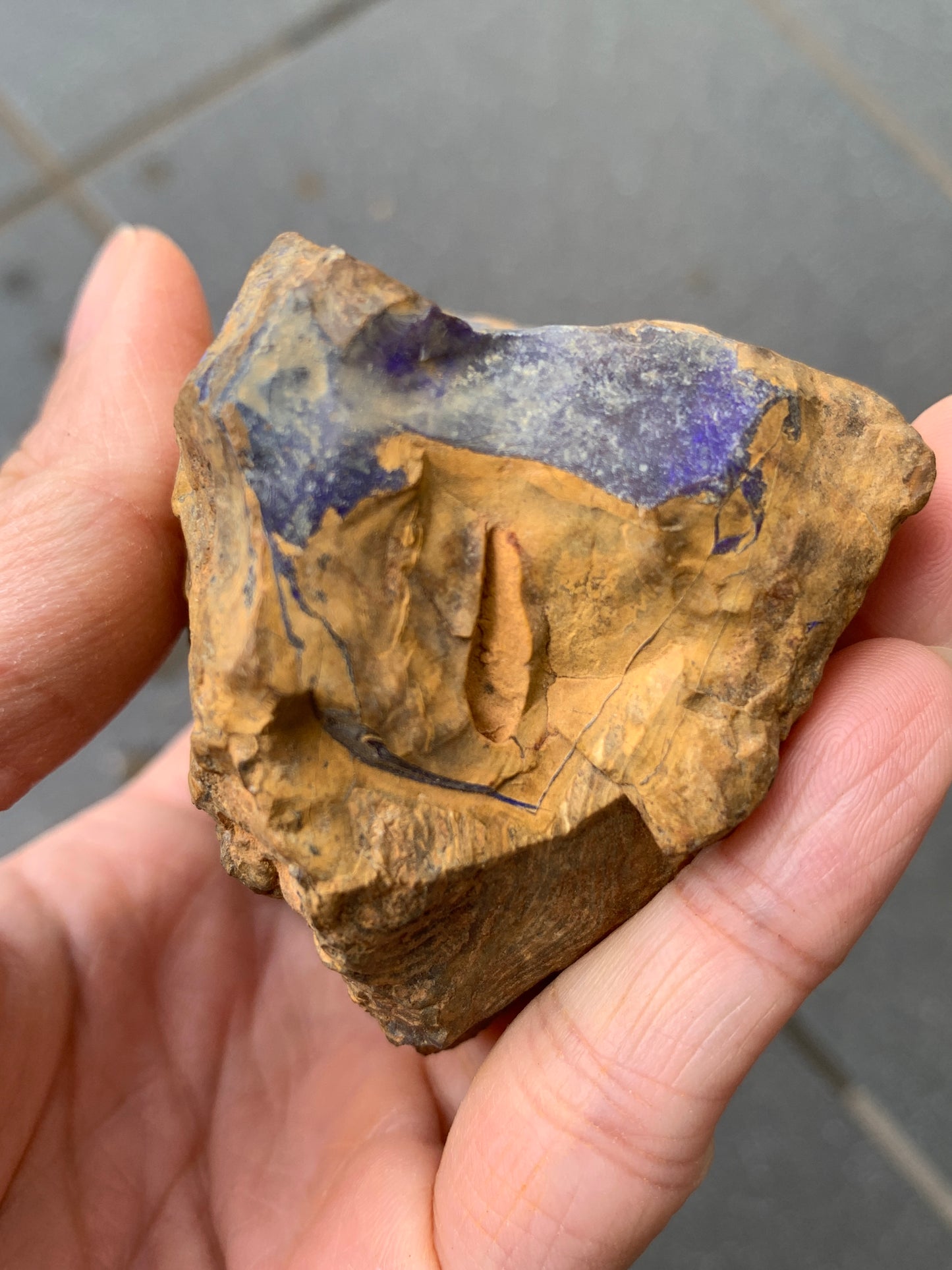 Purple Pair. Rough Boulder Opal Rocks. 303 Grams