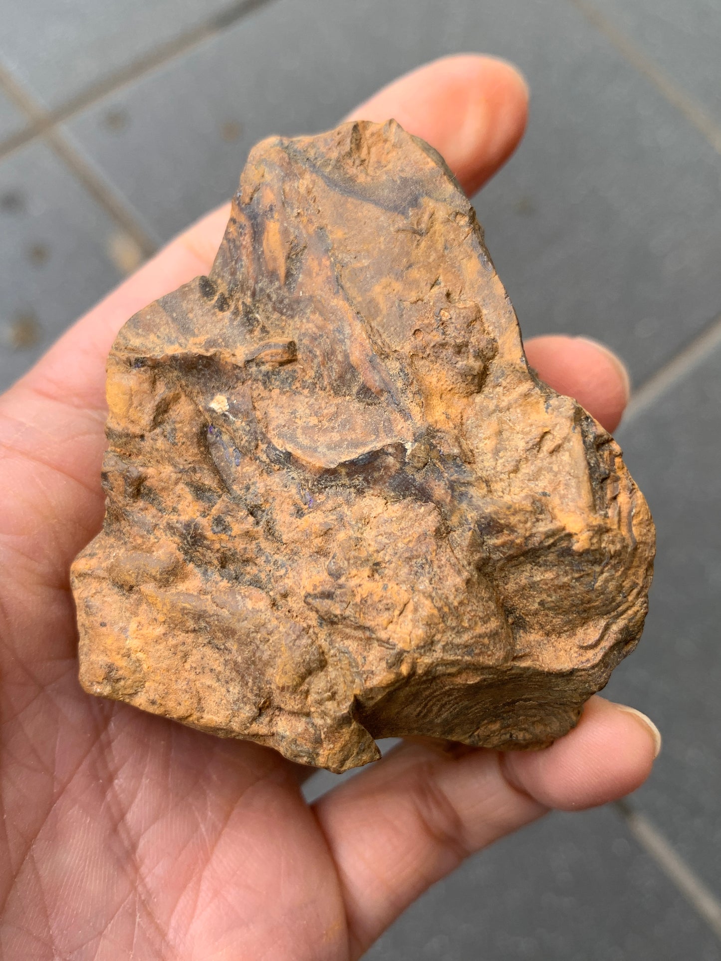 Purple Pair. Rough Boulder Opal Rocks. 303 Grams