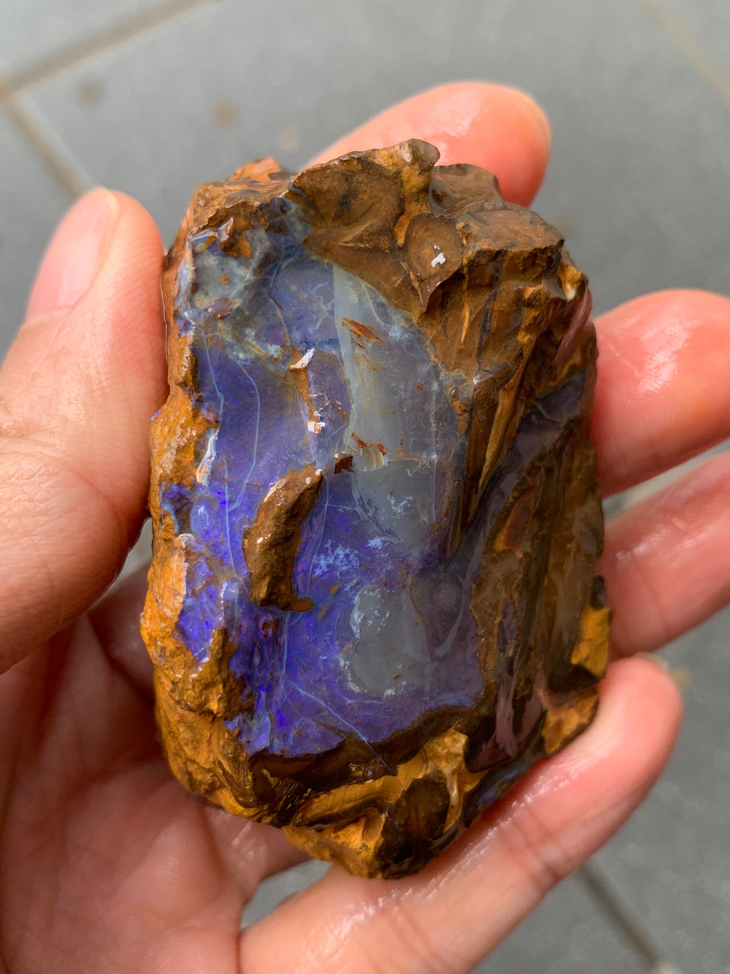 Purple Pair. Rough Boulder Opal Rocks. 303 Grams