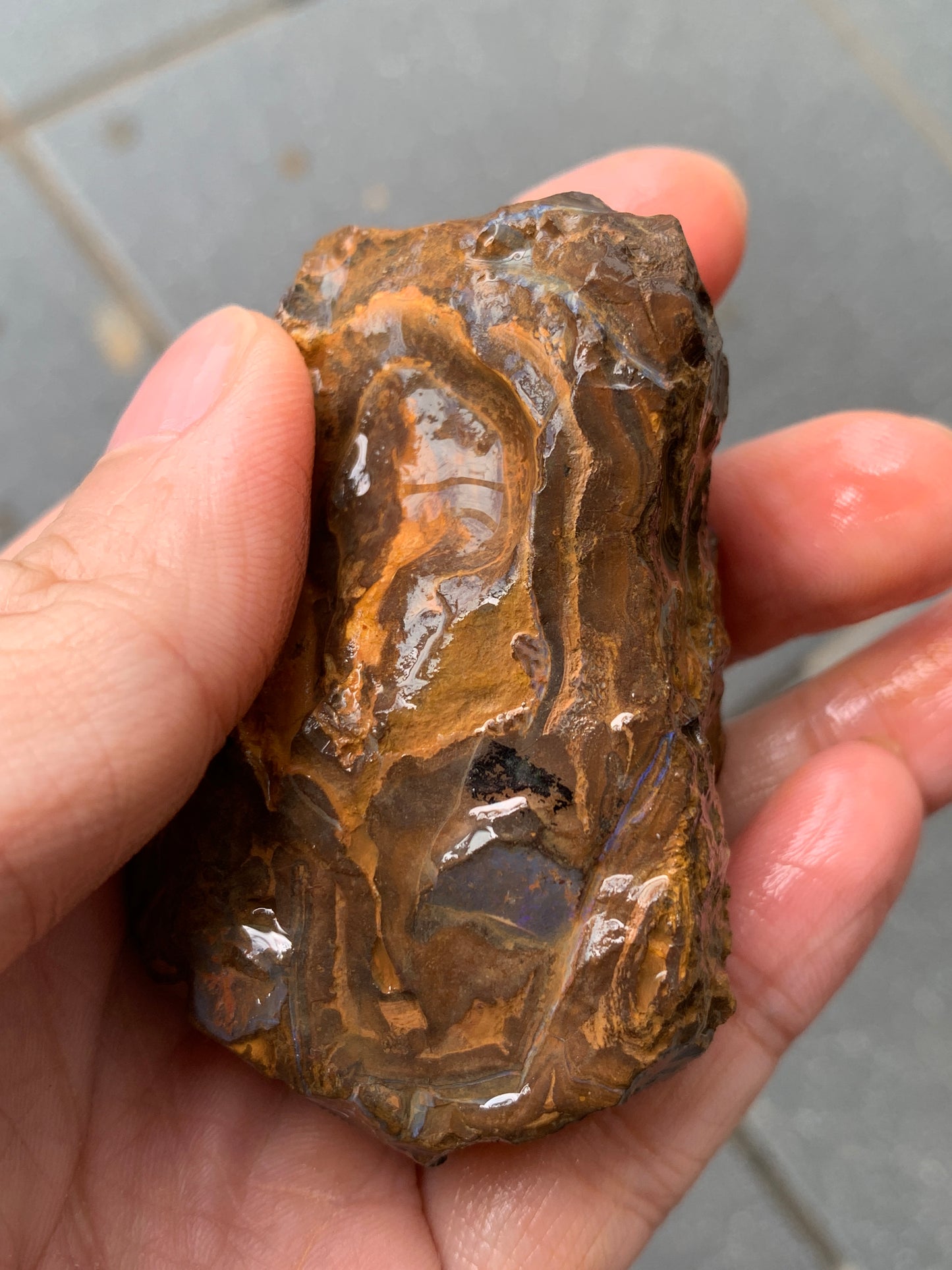 Purple Pair. Rough Boulder Opal Rocks. 303 Grams