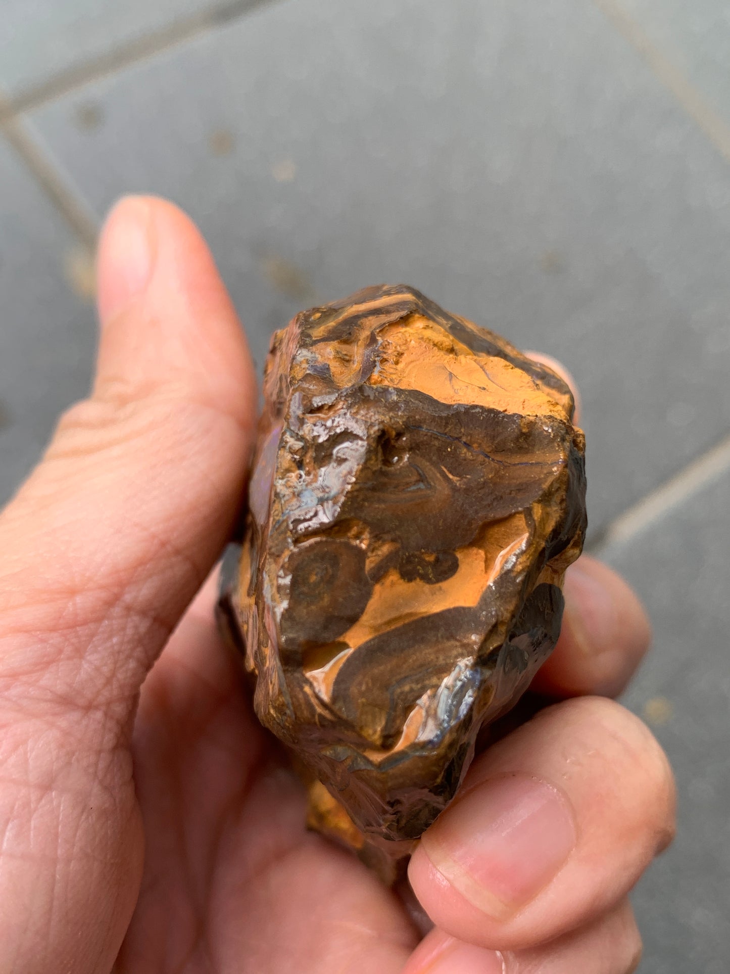 Purple Pair. Rough Boulder Opal Rocks. 303 Grams