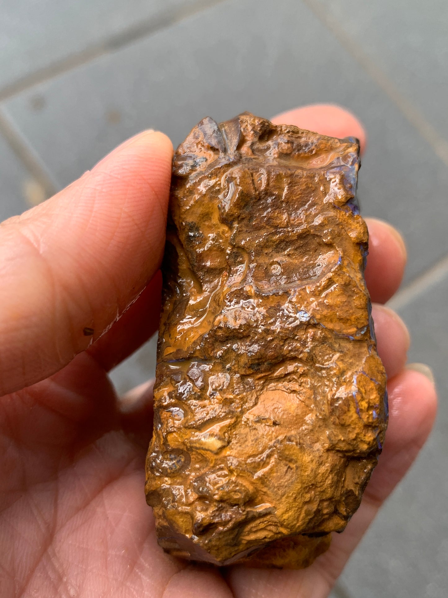 Purple Pair. Rough Boulder Opal Rocks. 303 Grams