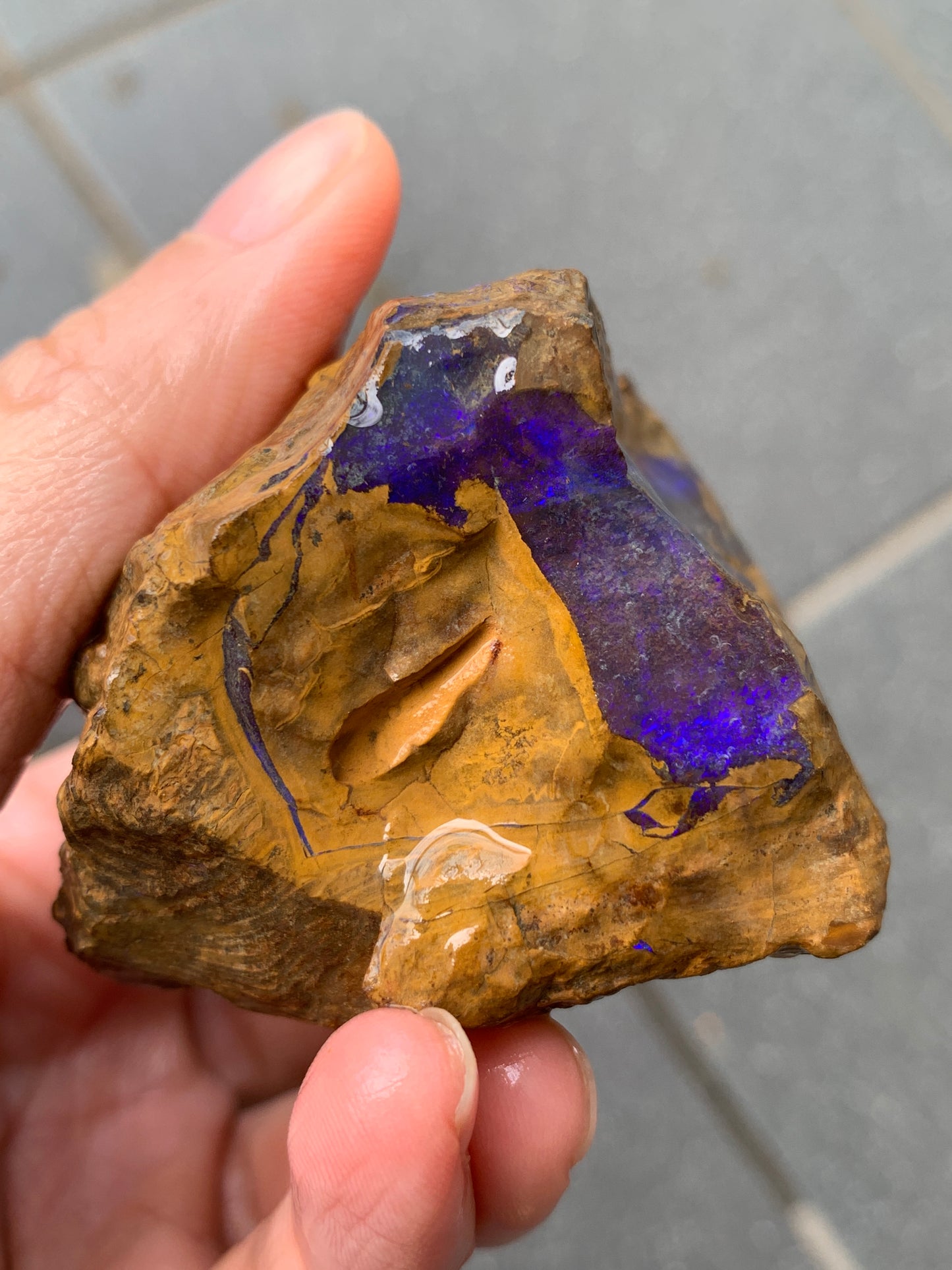 Purple Pair. Rough Boulder Opal Rocks. 303 Grams