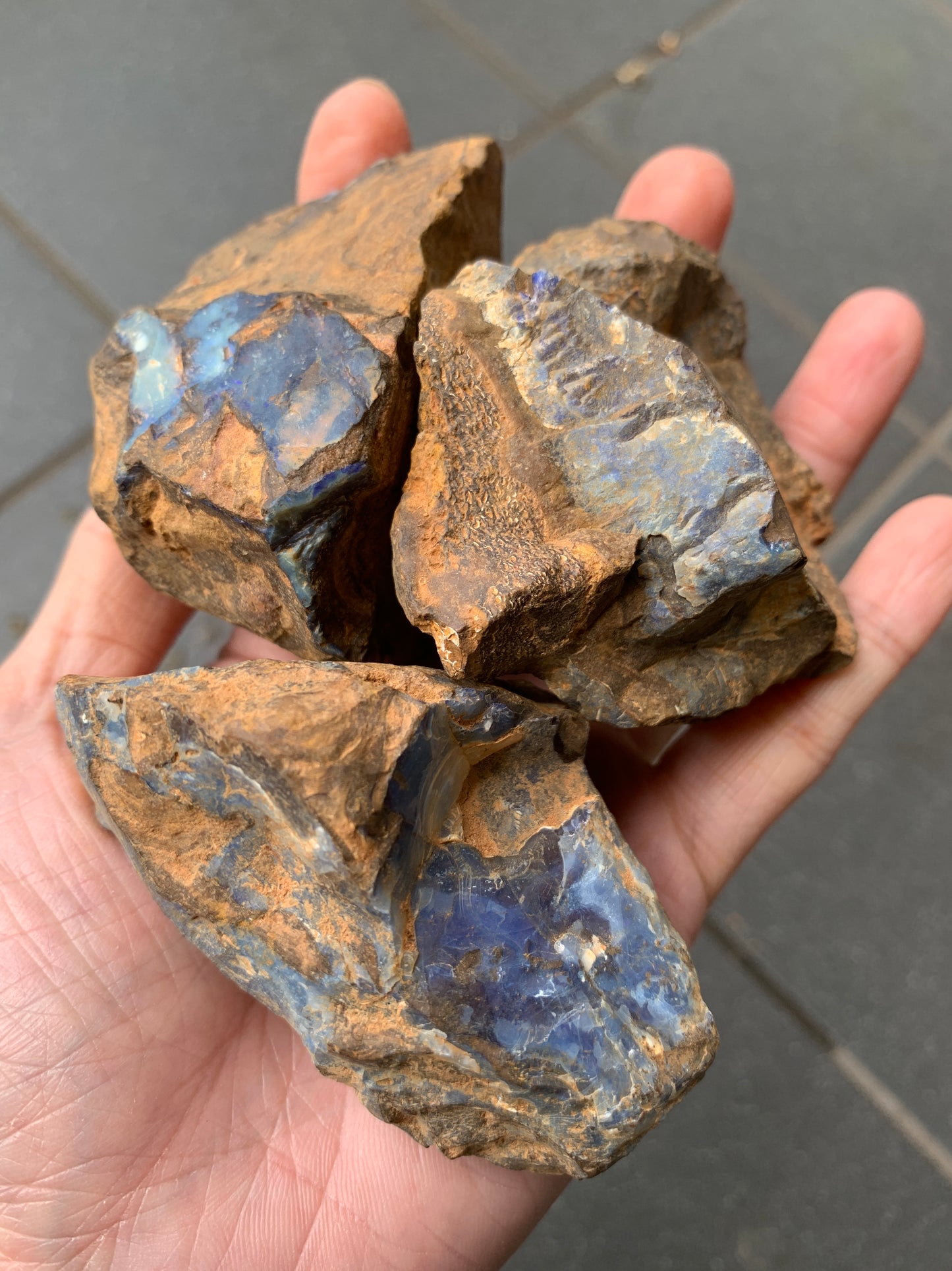 Blue Boulder Set. Rough Boulder Opal Rocks. 504 Grams.