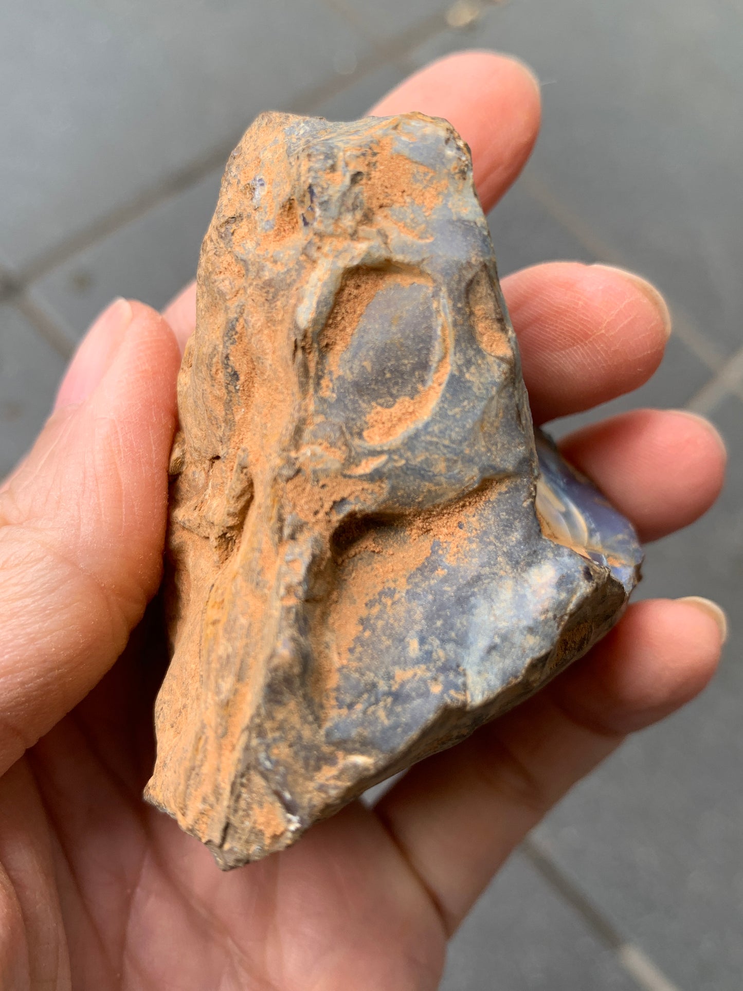 Blue Boulder Set. Rough Boulder Opal Rocks. 504 Grams.