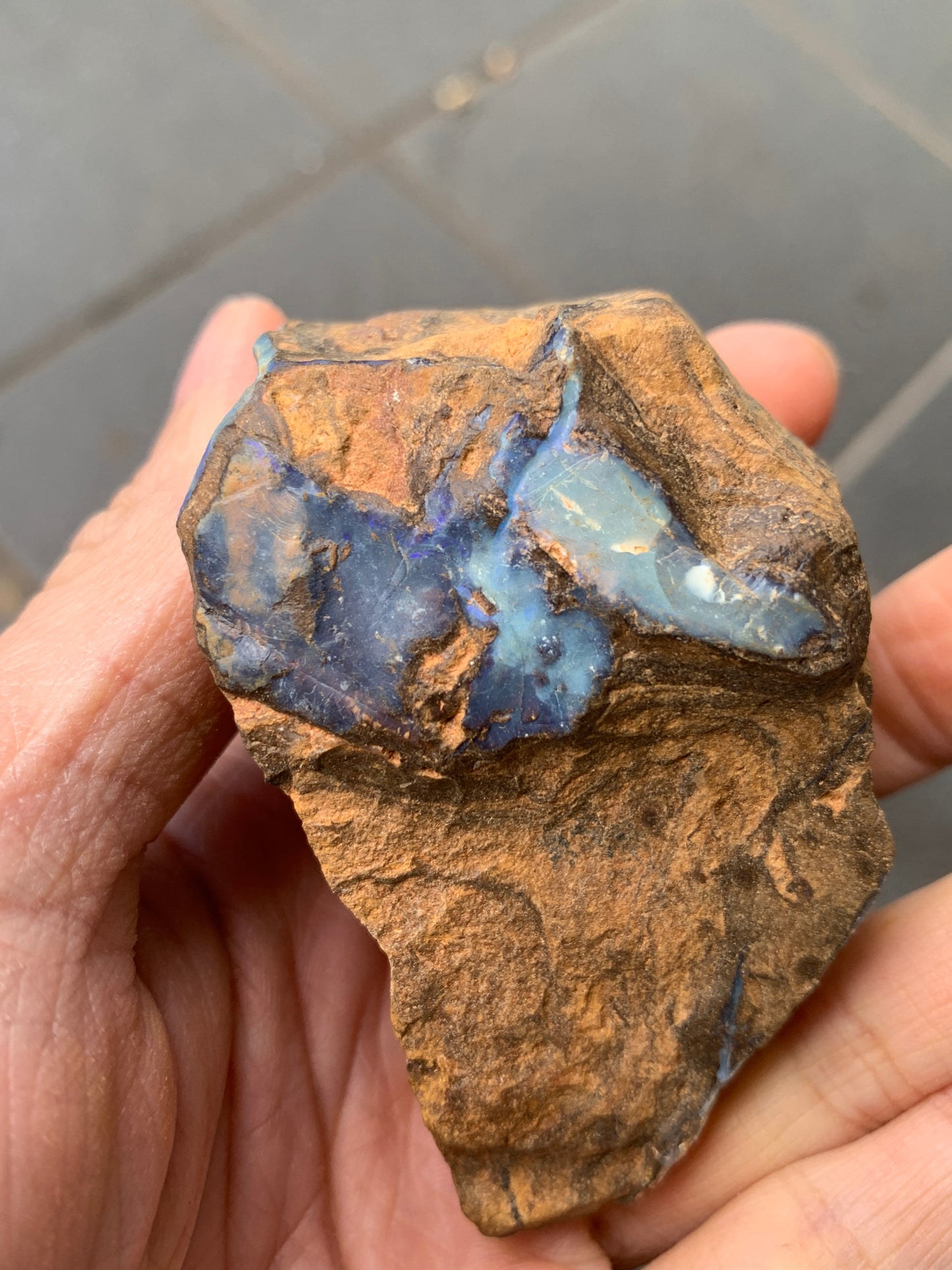 Blue Boulder Set. Rough Boulder Opal Rocks. 504 Grams.