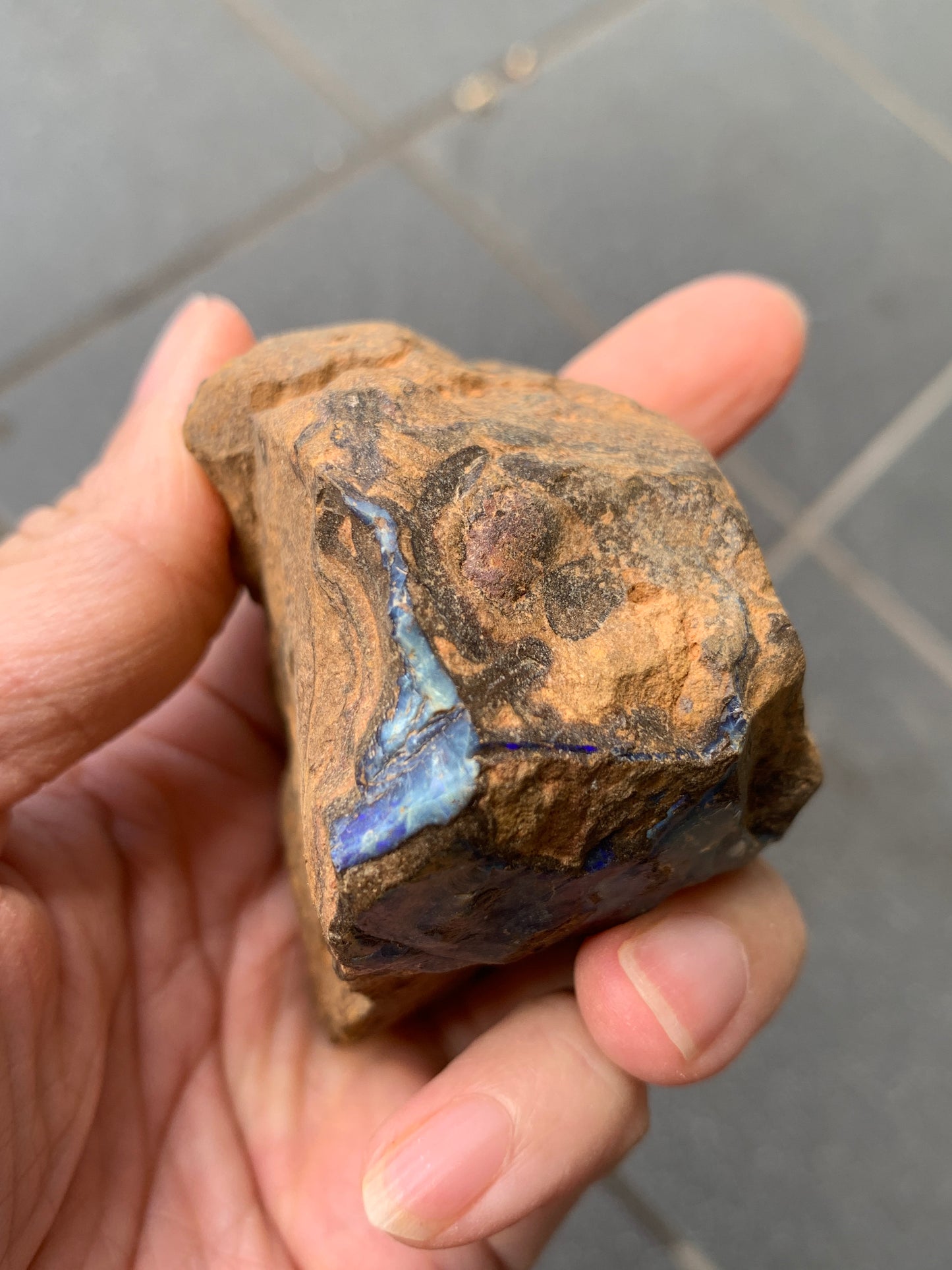 Blue Boulder Set. Rough Boulder Opal Rocks. 504 Grams.