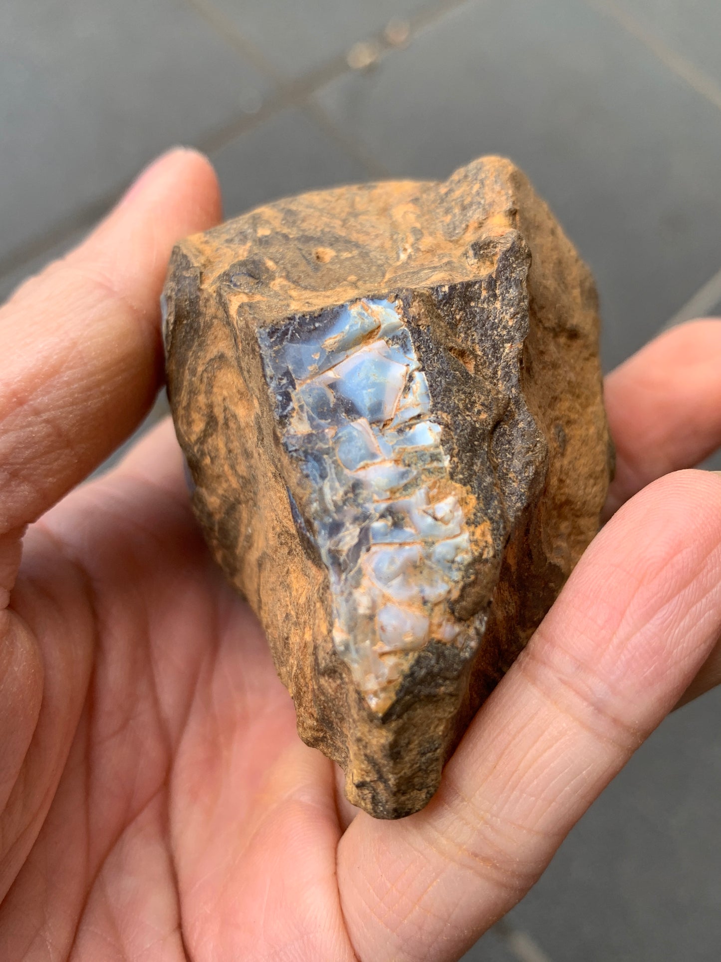 Blue Boulder Set. Rough Boulder Opal Rocks. 504 Grams.