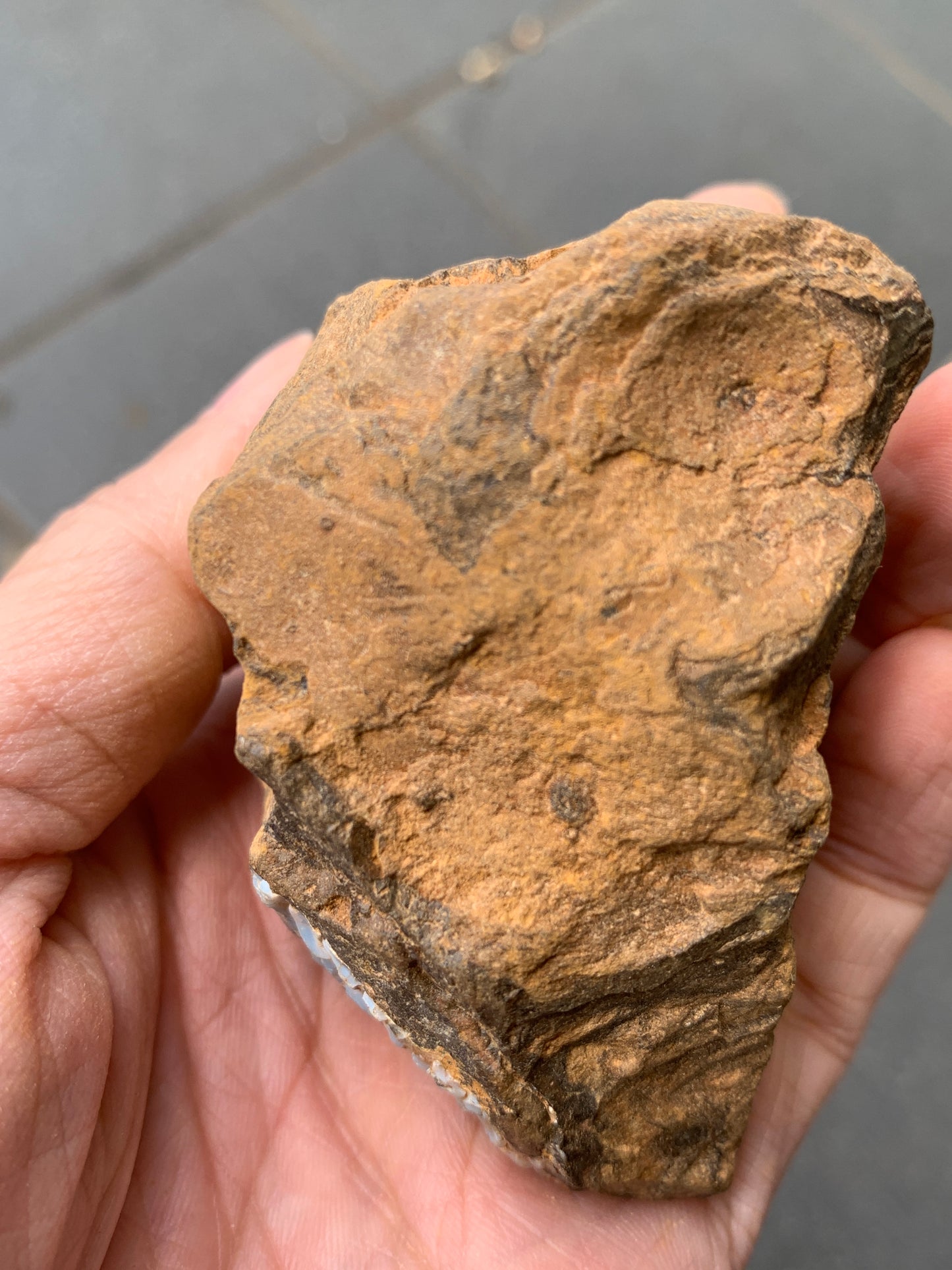 Blue Boulder Set. Rough Boulder Opal Rocks. 504 Grams.