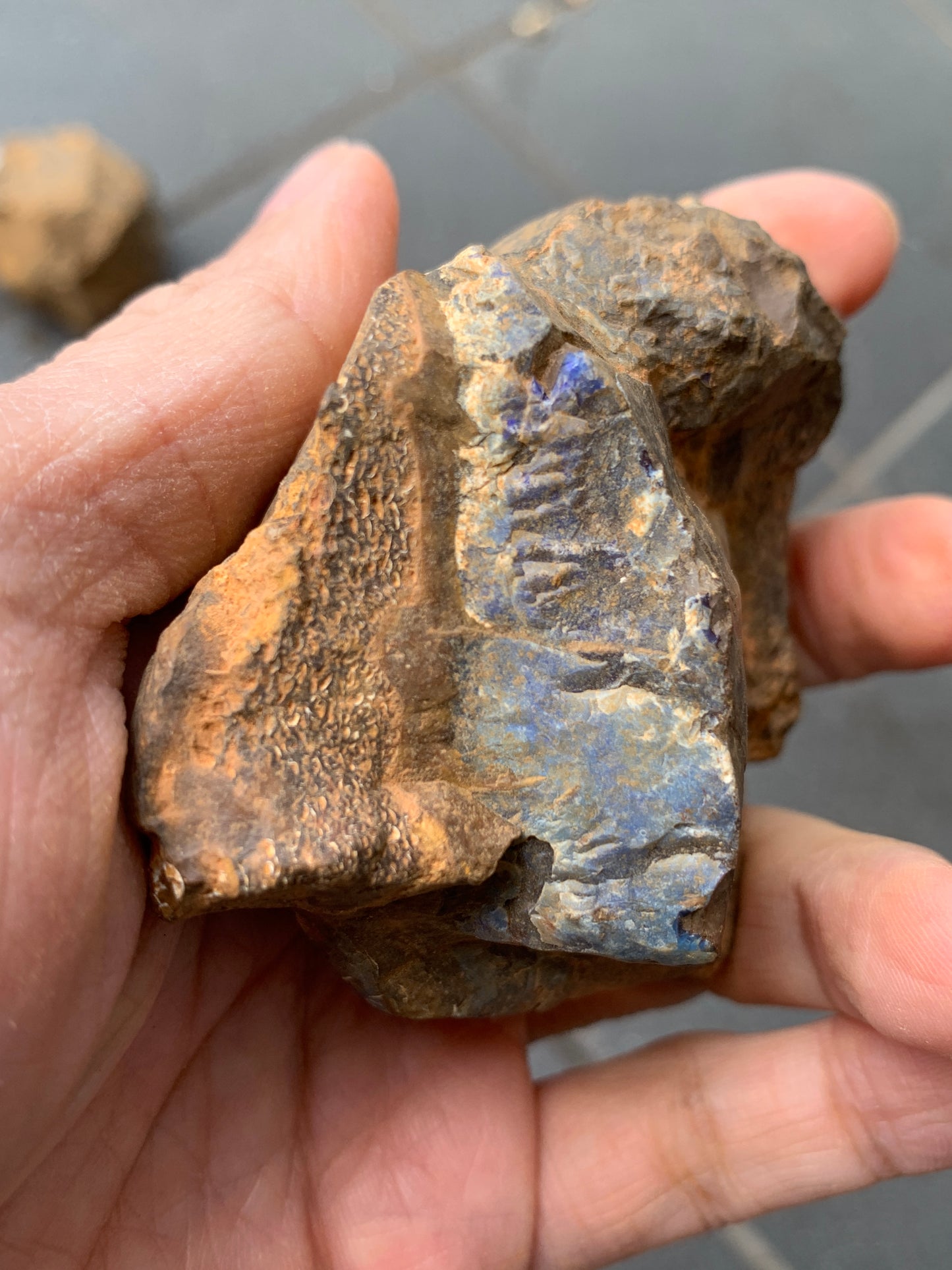 Blue Boulder Set. Rough Boulder Opal Rocks. 504 Grams.