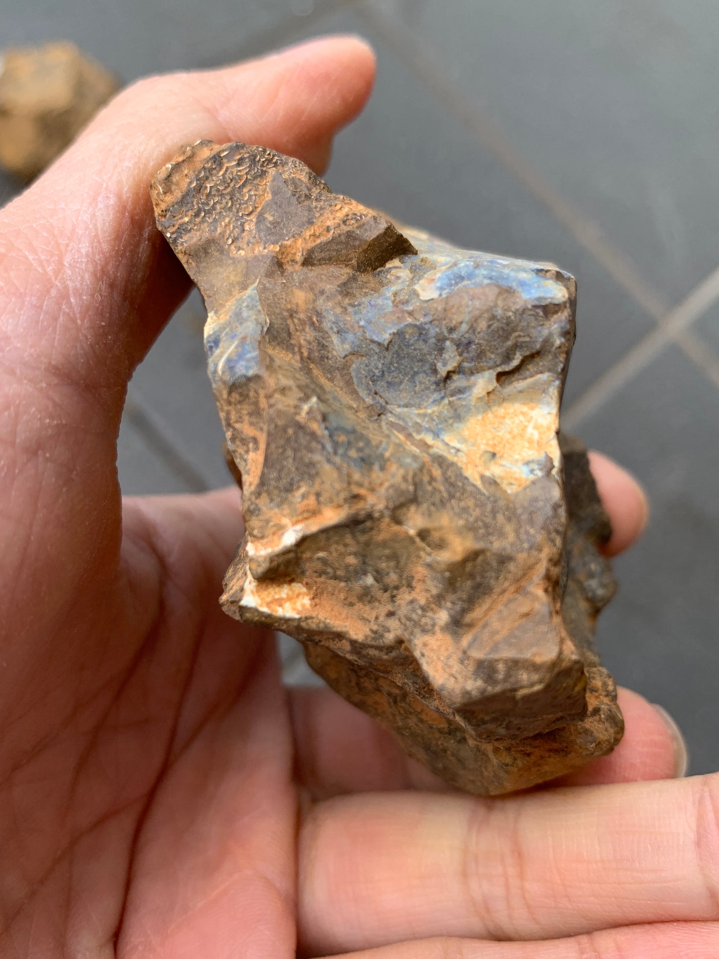 Blue Boulder Set. Rough Boulder Opal Rocks. 504 Grams.