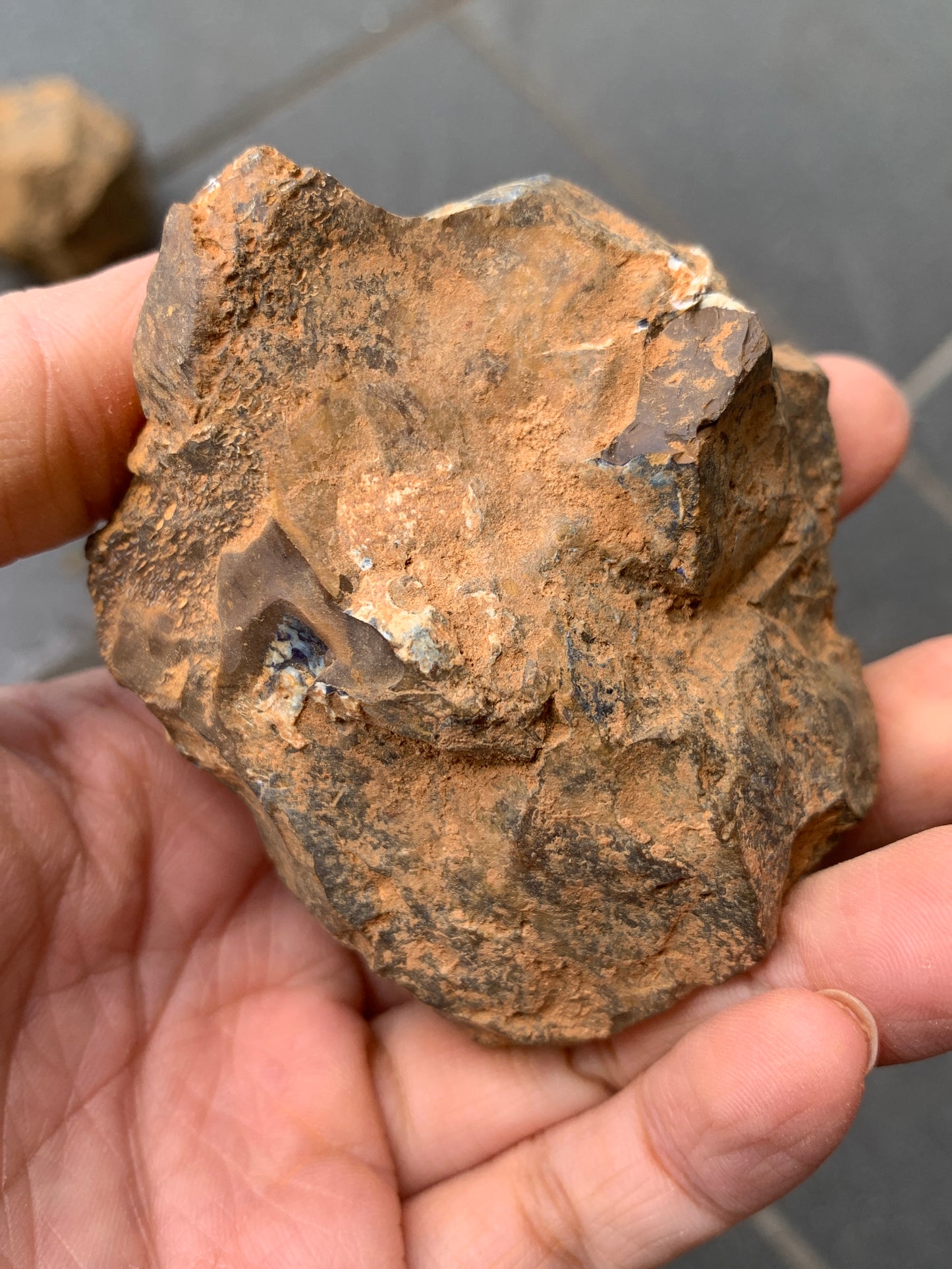Blue Boulder Set. Rough Boulder Opal Rocks. 504 Grams.