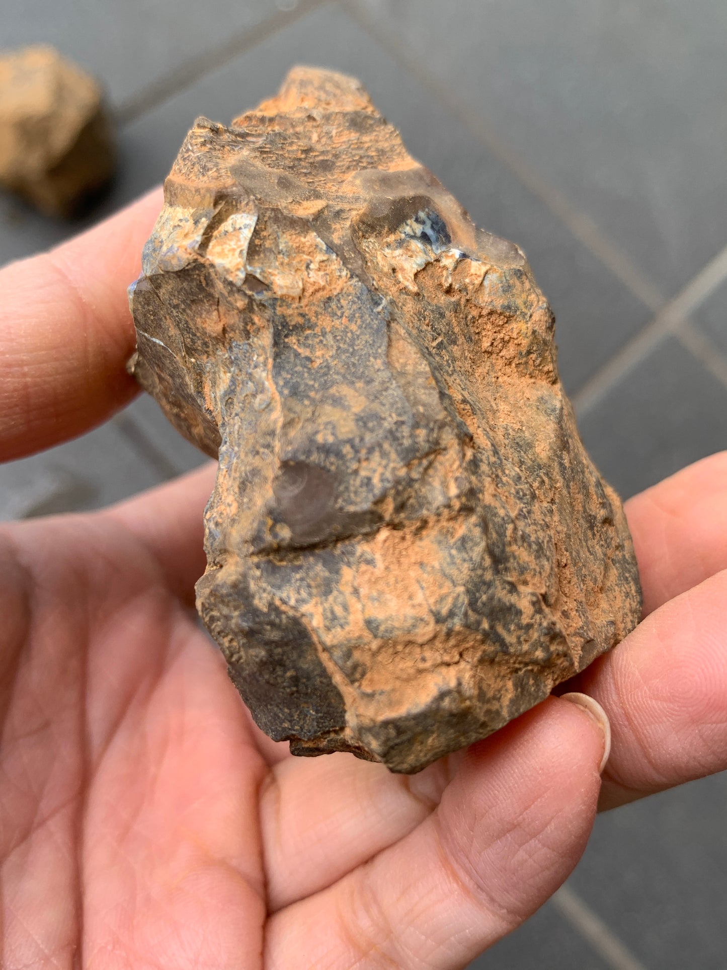 Blue Boulder Set. Rough Boulder Opal Rocks. 504 Grams.