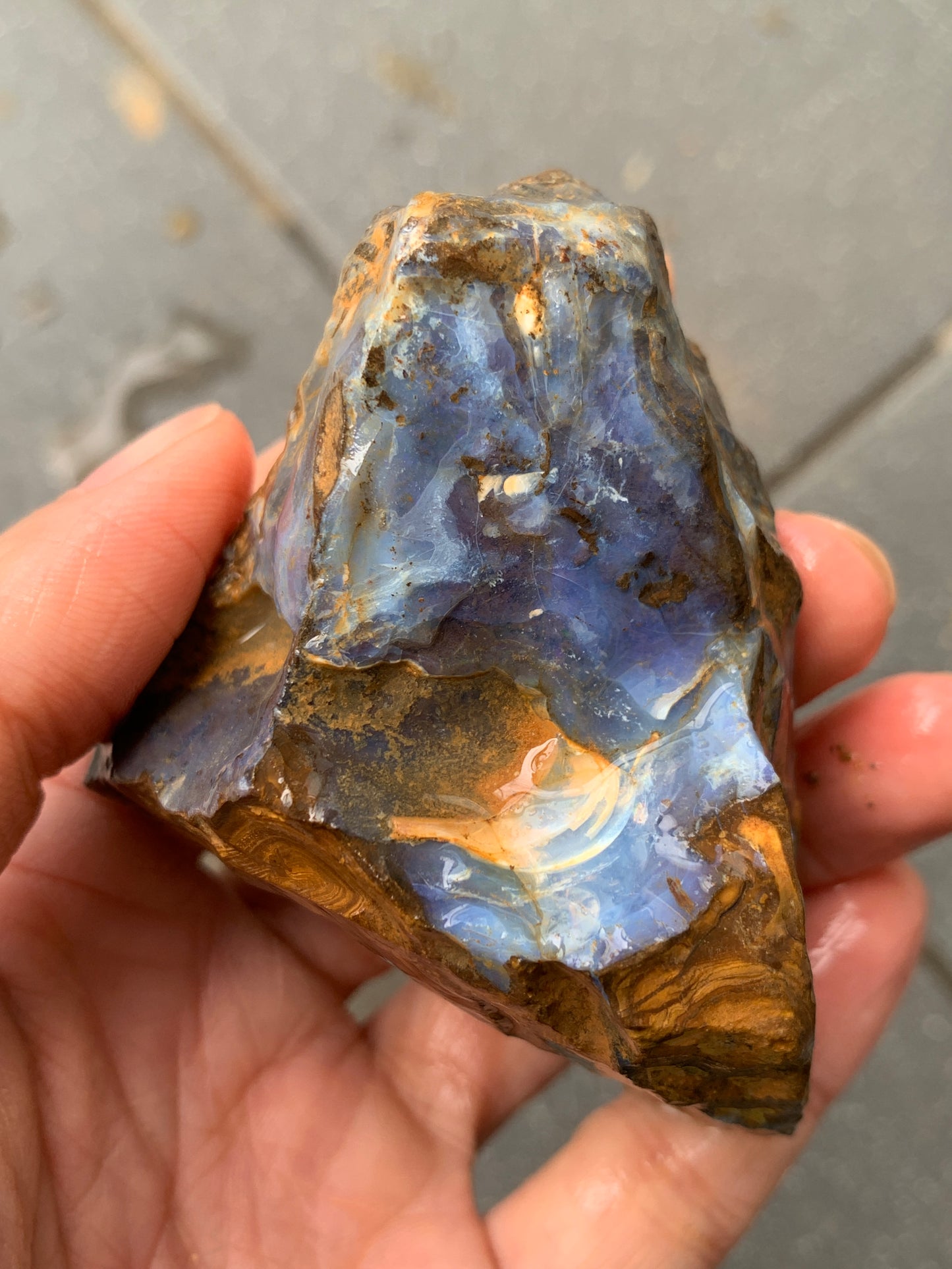 Blue Boulder Set. Rough Boulder Opal Rocks. 504 Grams.