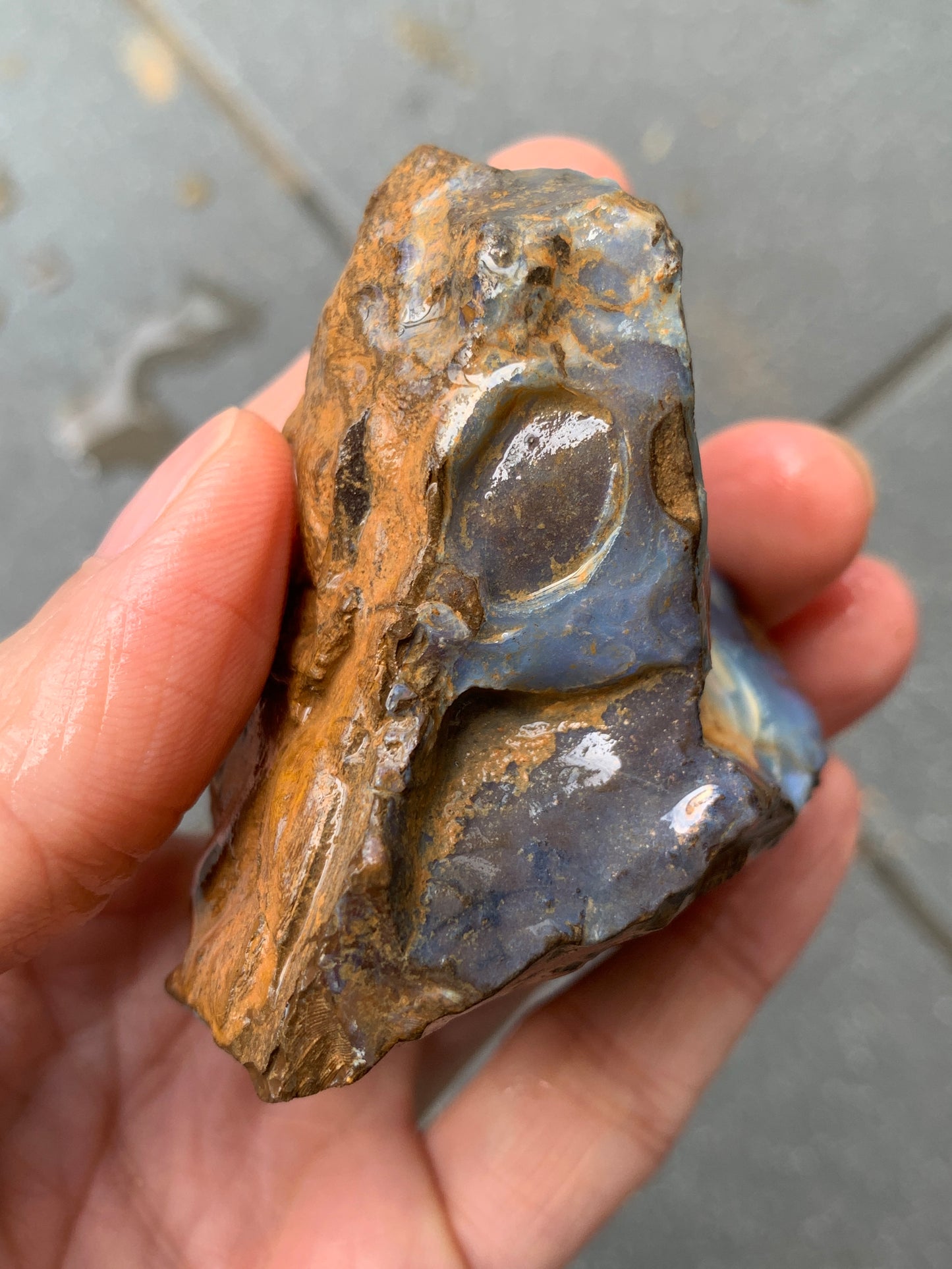 Blue Boulder Set. Rough Boulder Opal Rocks. 504 Grams.