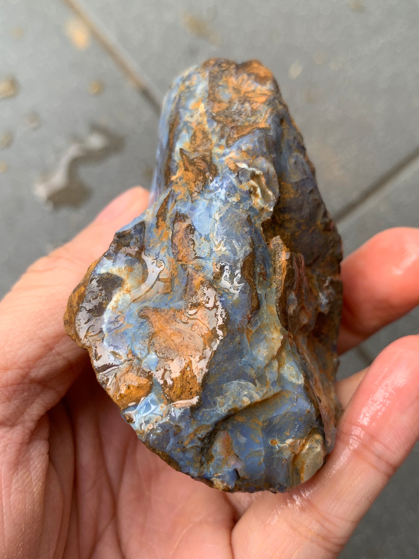 Blue Boulder Set. Rough Boulder Opal Rocks. 504 Grams.