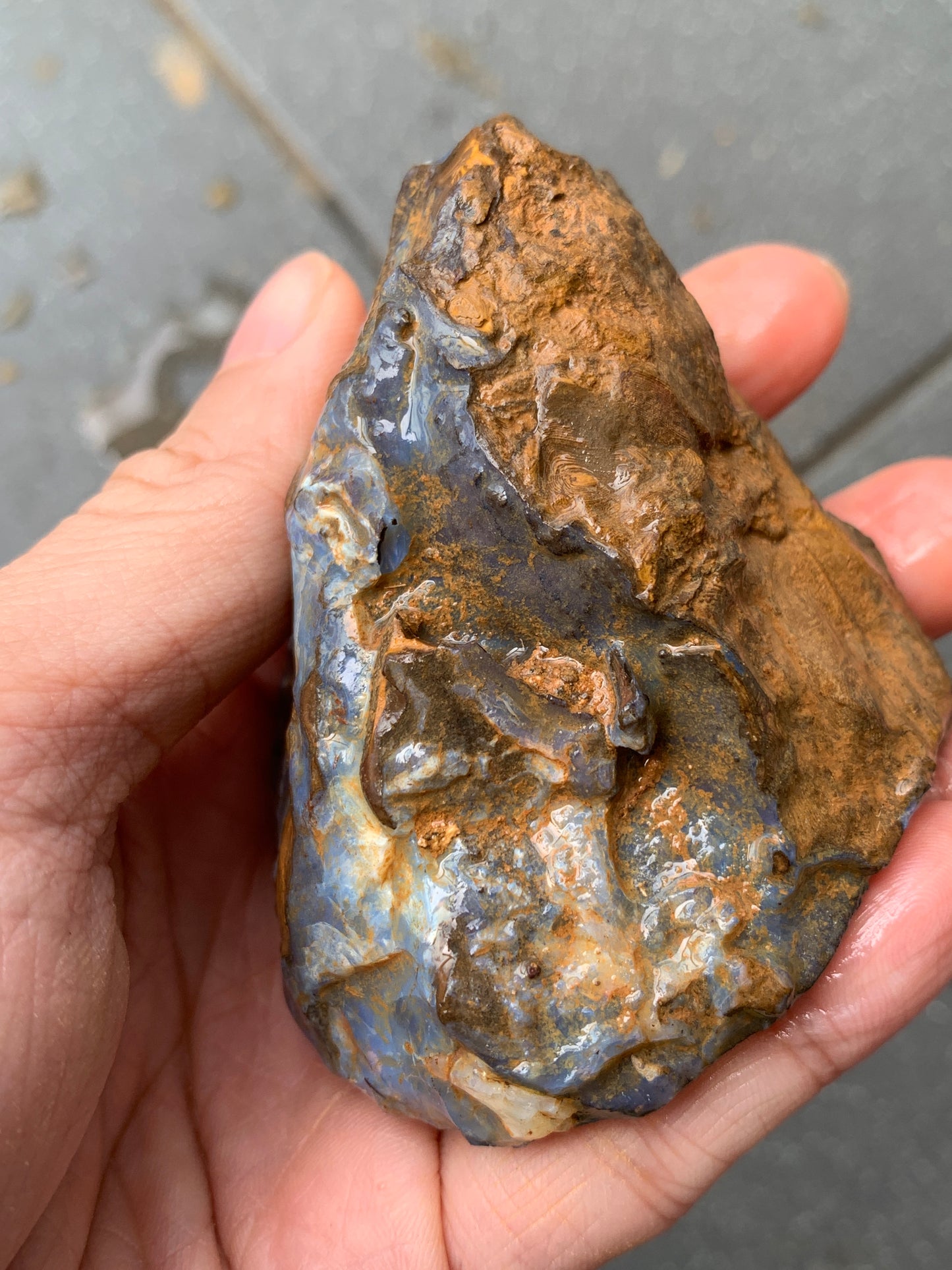 Blue Boulder Set. Rough Boulder Opal Rocks. 504 Grams.