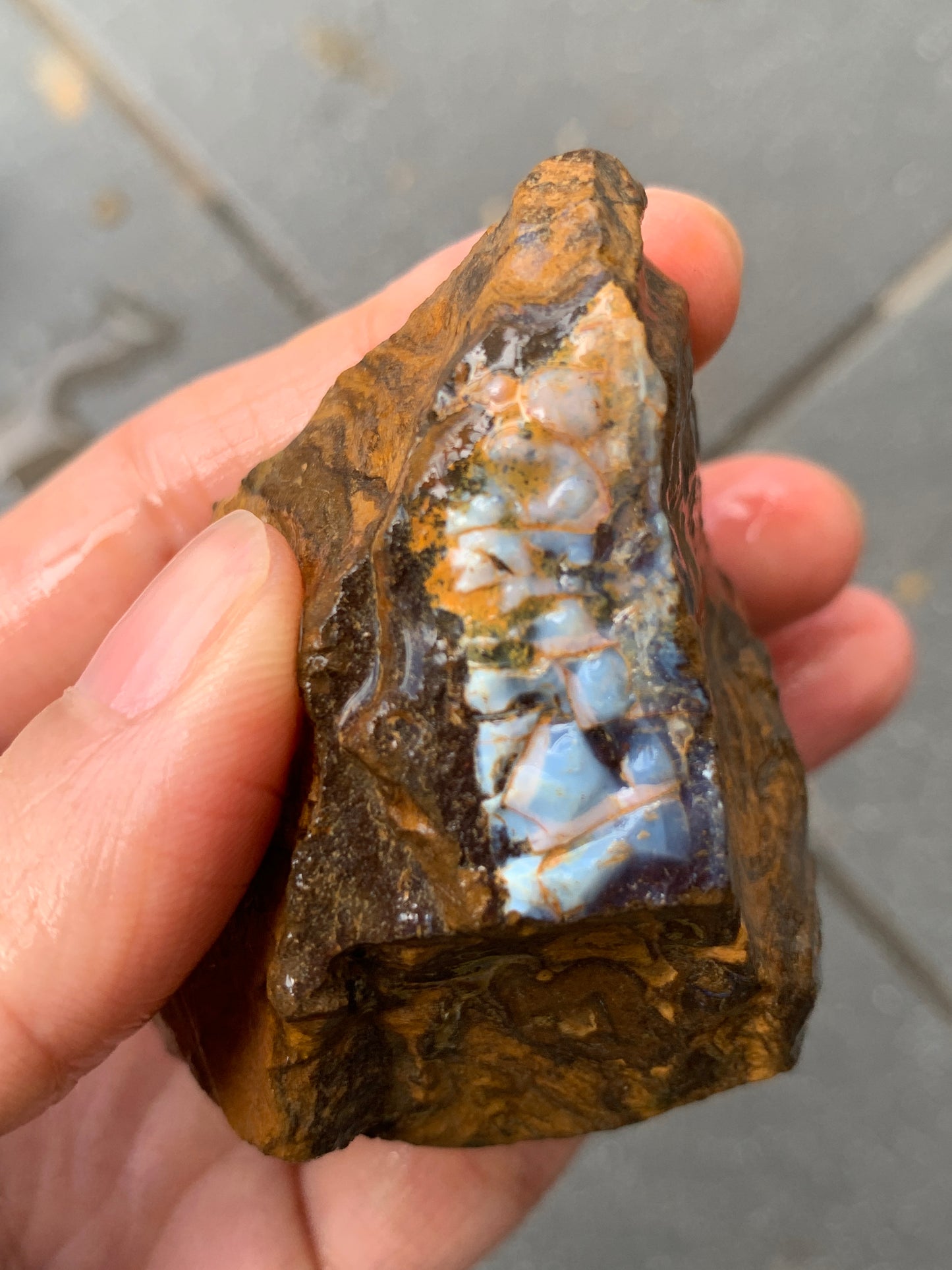 Blue Boulder Set. Rough Boulder Opal Rocks. 504 Grams.