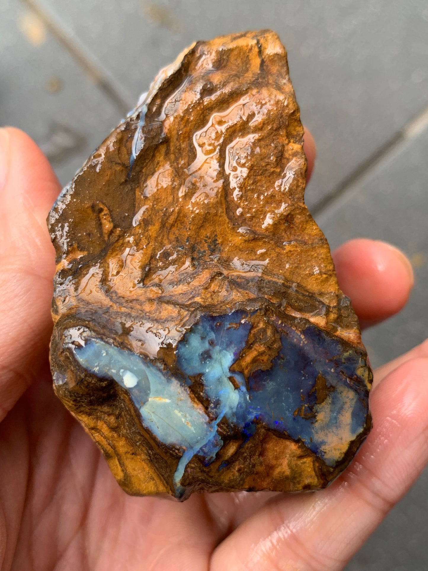 Blue Boulder Set. Rough Boulder Opal Rocks. 504 Grams.