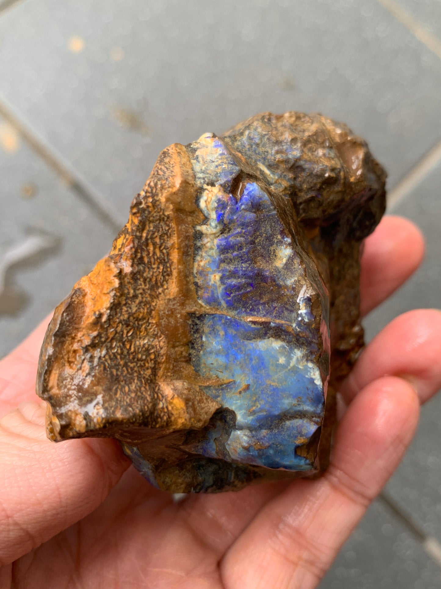Blue Boulder Set. Rough Boulder Opal Rocks. 504 Grams.