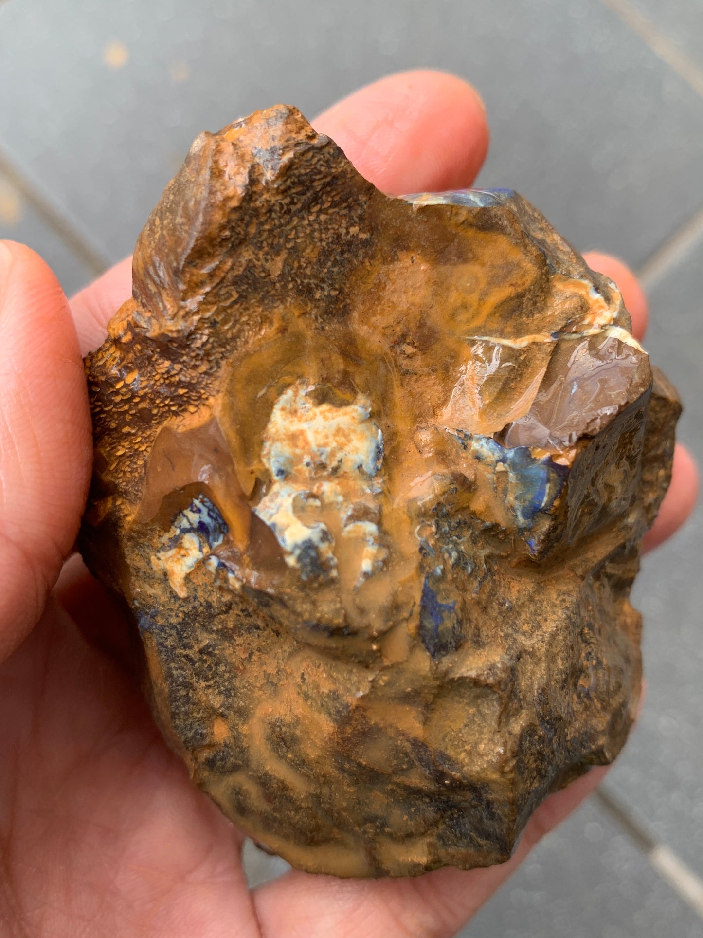 Blue Boulder Set. Rough Boulder Opal Rocks. 504 Grams.