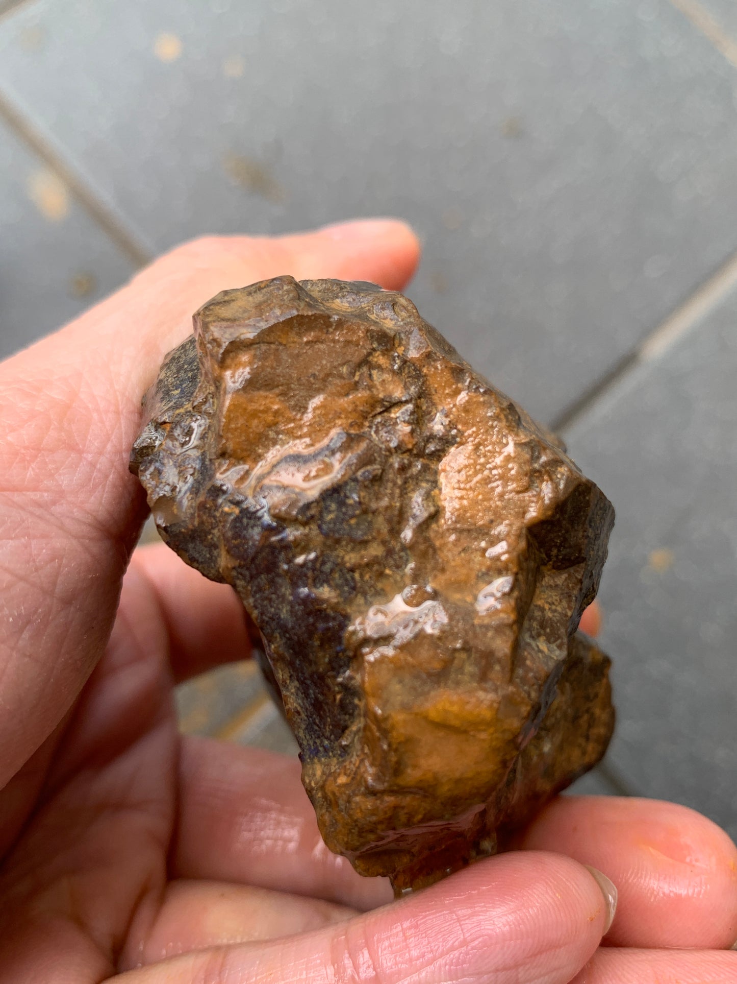 Blue Boulder Set. Rough Boulder Opal Rocks. 504 Grams.