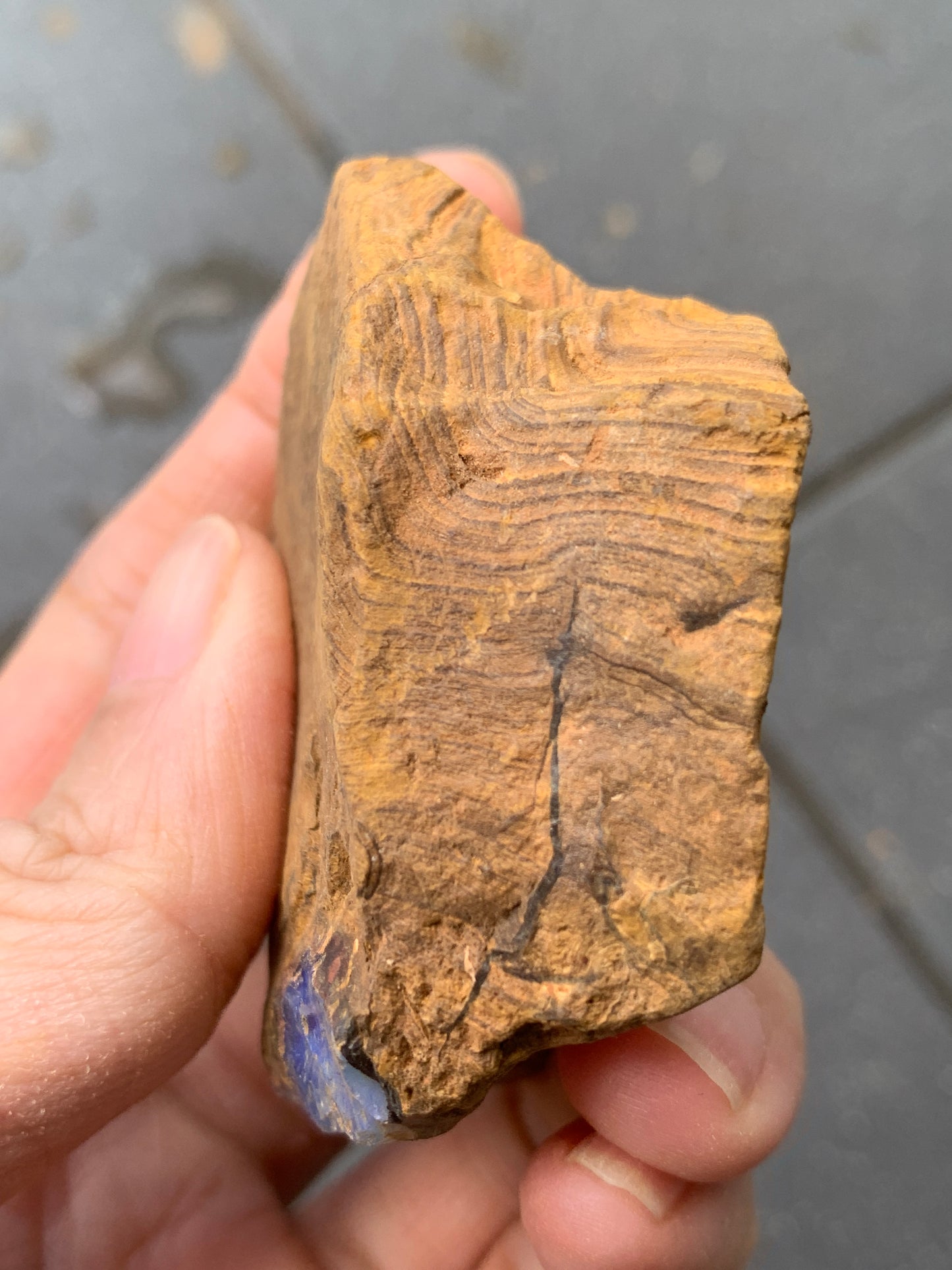 Crystal Nugget + Bonus Rock. Rough Boulder Opal. 174 Grams.