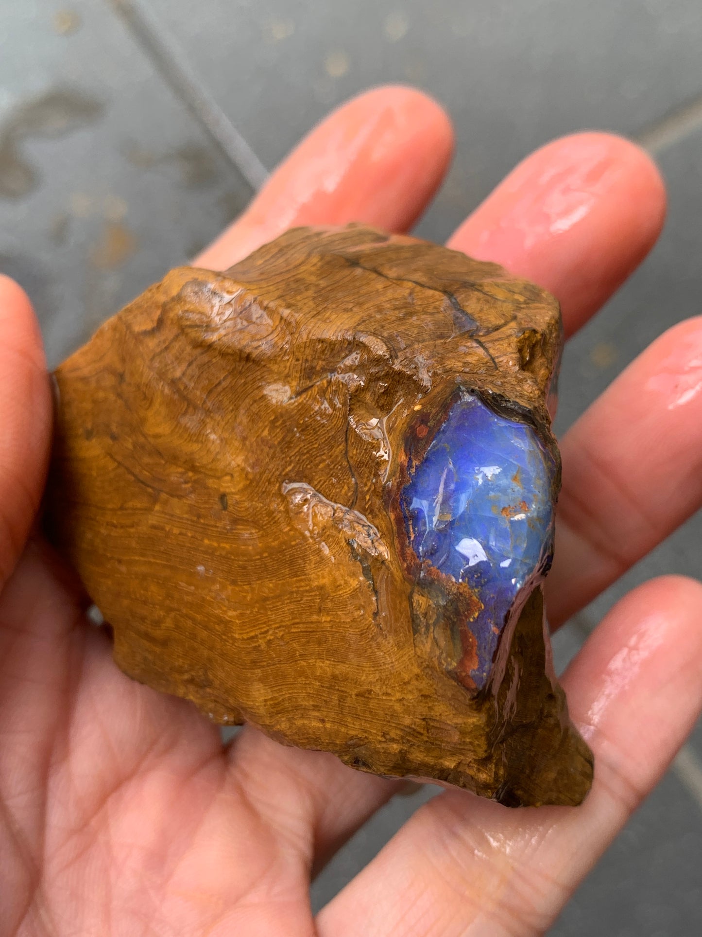 Crystal Nugget + Bonus Rock. Rough Boulder Opal. 174 Grams.