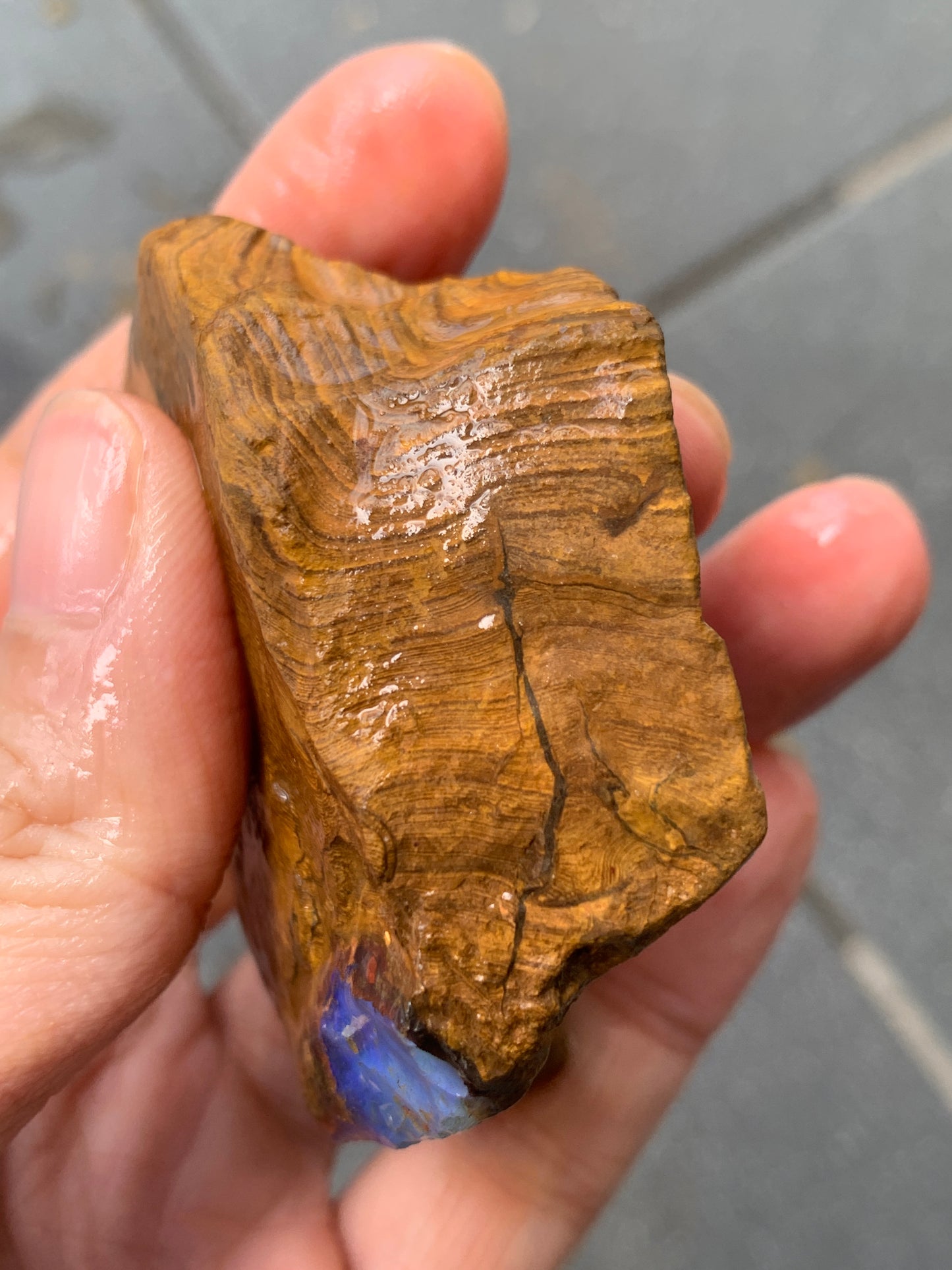 Crystal Nugget + Bonus Rock. Rough Boulder Opal. 174 Grams.