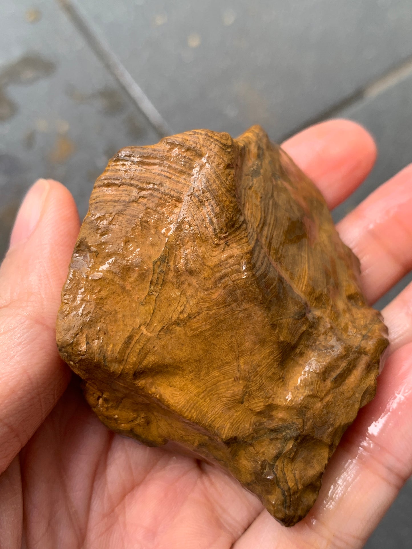 Crystal Nugget + Bonus Rock. Rough Boulder Opal. 174 Grams.