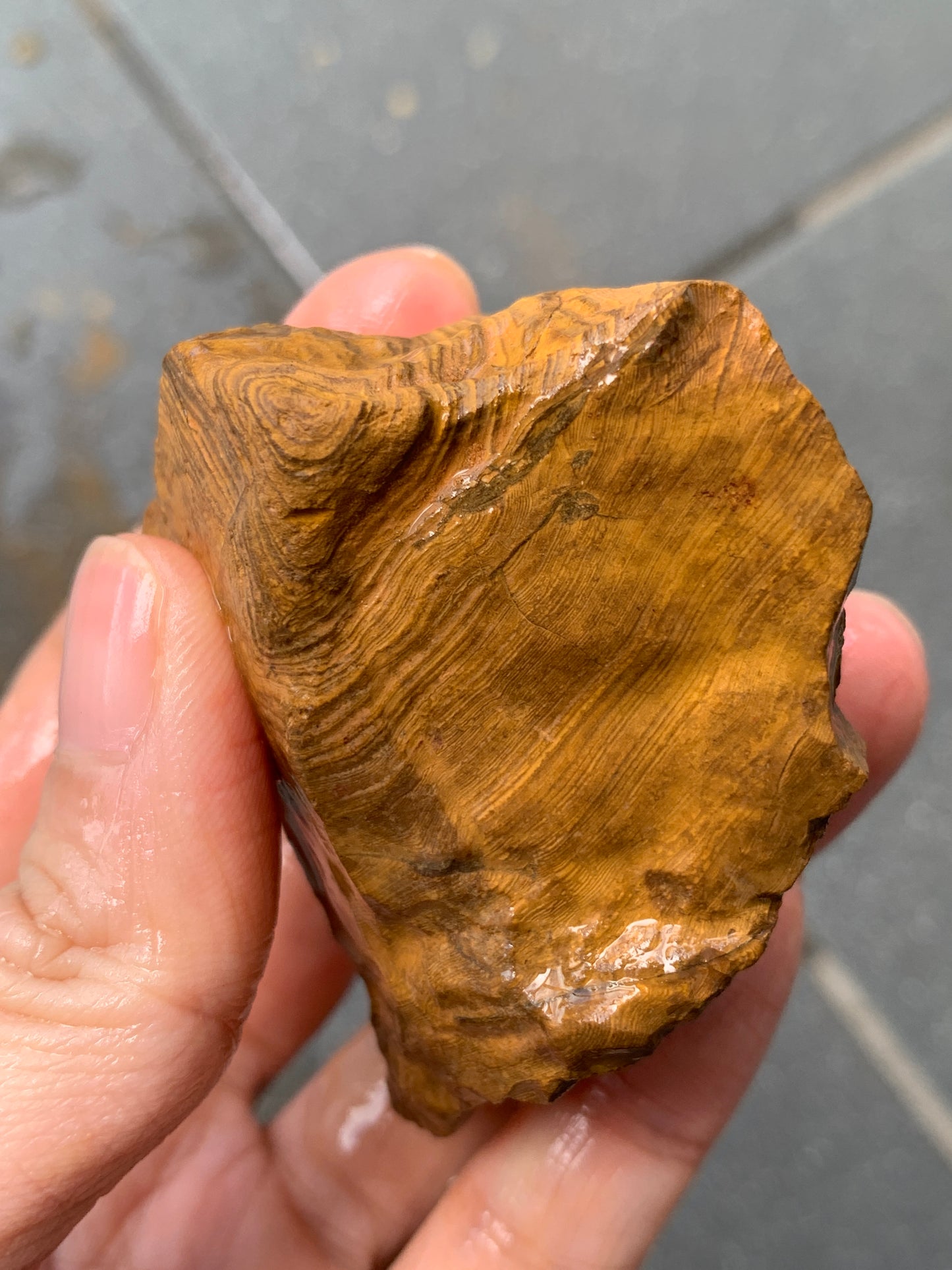 Crystal Nugget + Bonus Rock. Rough Boulder Opal. 174 Grams.
