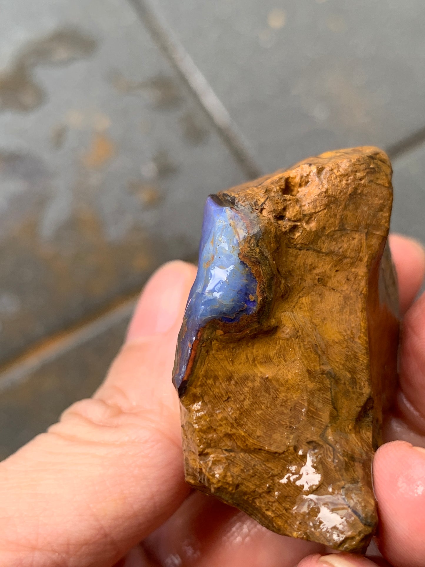 Crystal Nugget + Bonus Rock. Rough Boulder Opal. 174 Grams.
