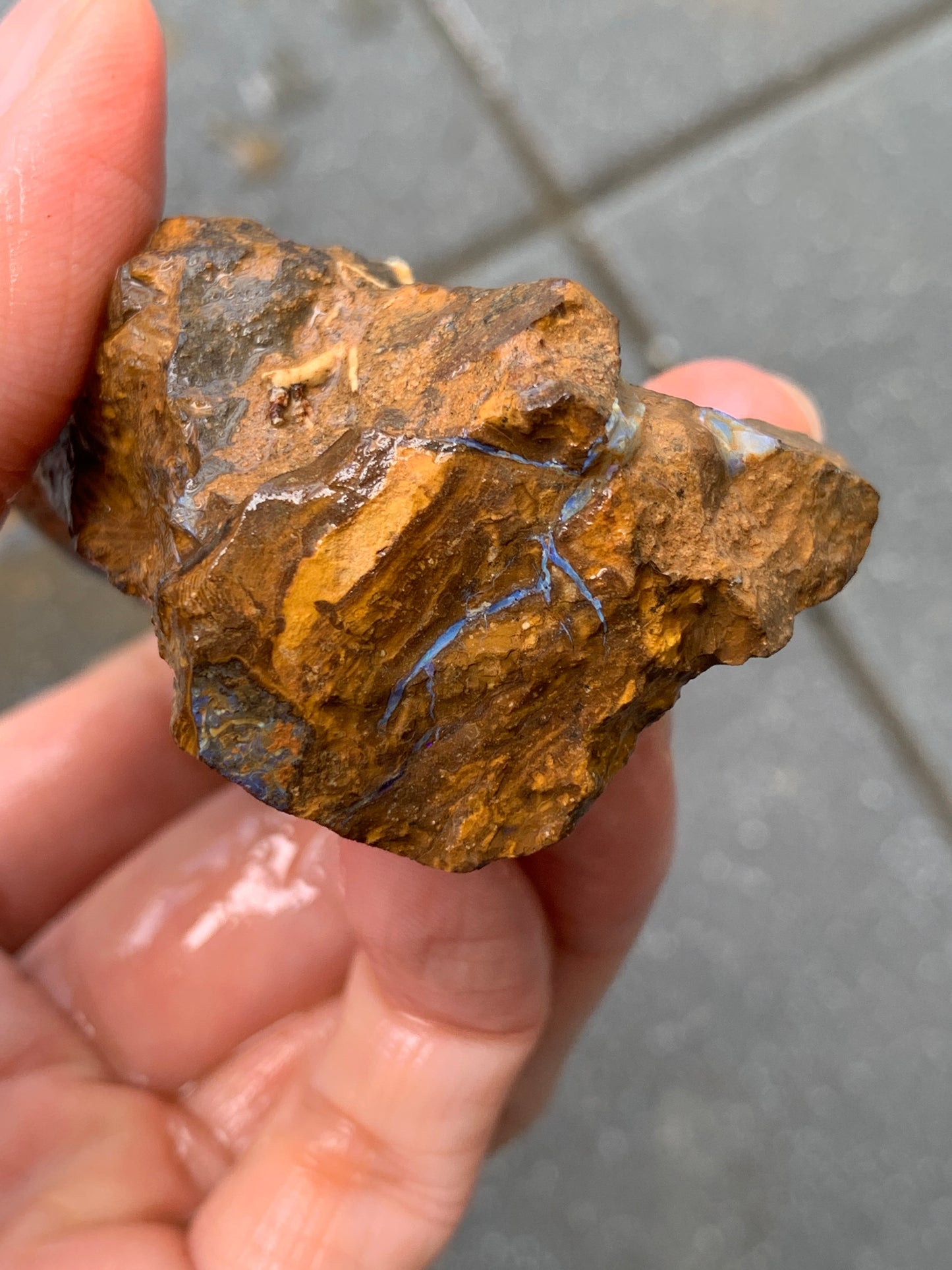 Crystal Nugget + Bonus Rock. Rough Boulder Opal. 174 Grams.