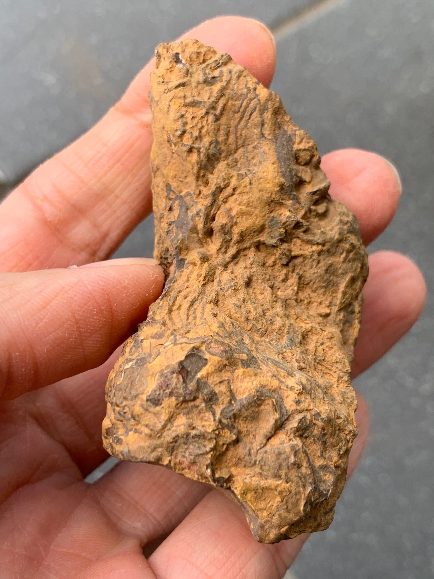 Purple Glass. Rough Boulder Opal Rock. 90 Grams.