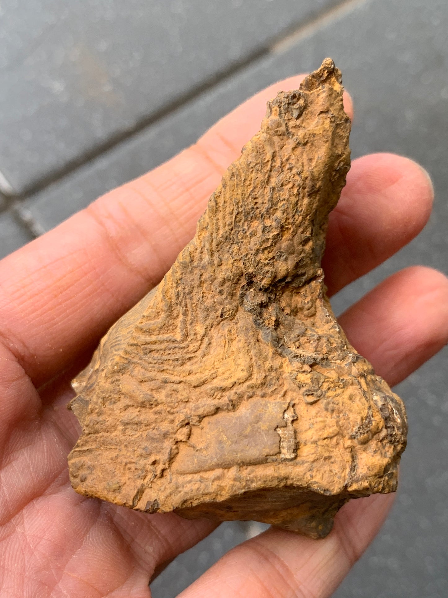 Purple Glass. Rough Boulder Opal Rock. 90 Grams.