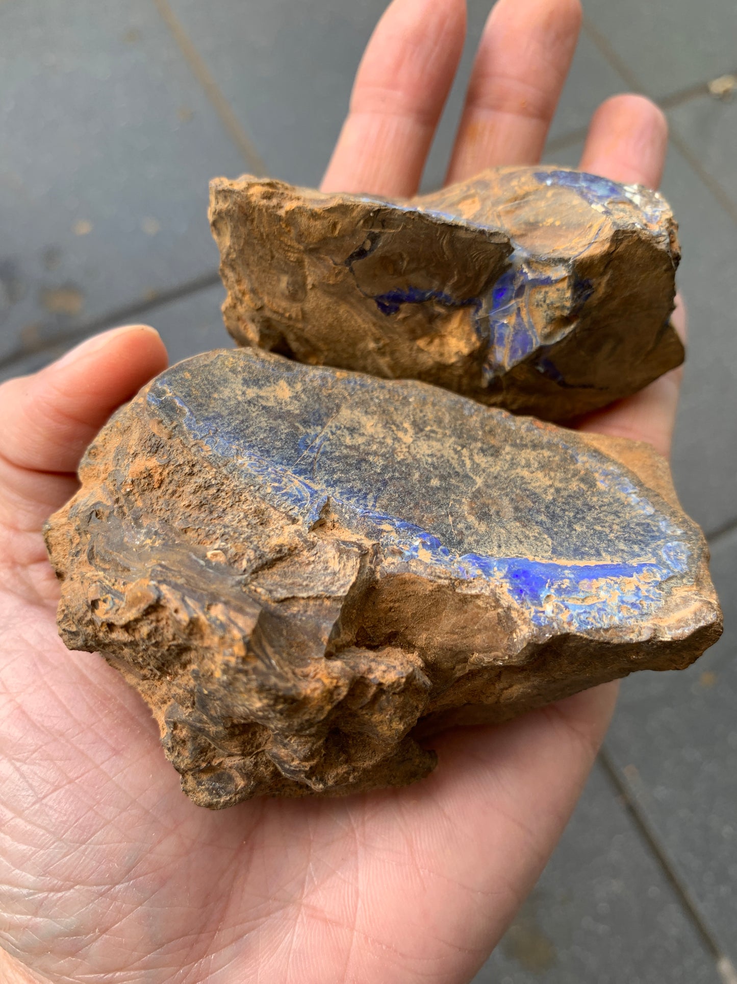 Practice Pair. Rough Boulder Opal Rocks. 355 Grams.