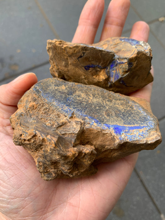 Practice Pair. Rough Boulder Opal Rocks. 355 Grams.
