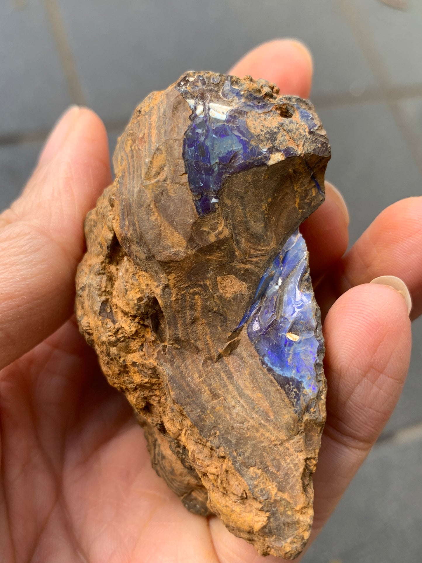 Practice Pair. Rough Boulder Opal Rocks. 355 Grams.