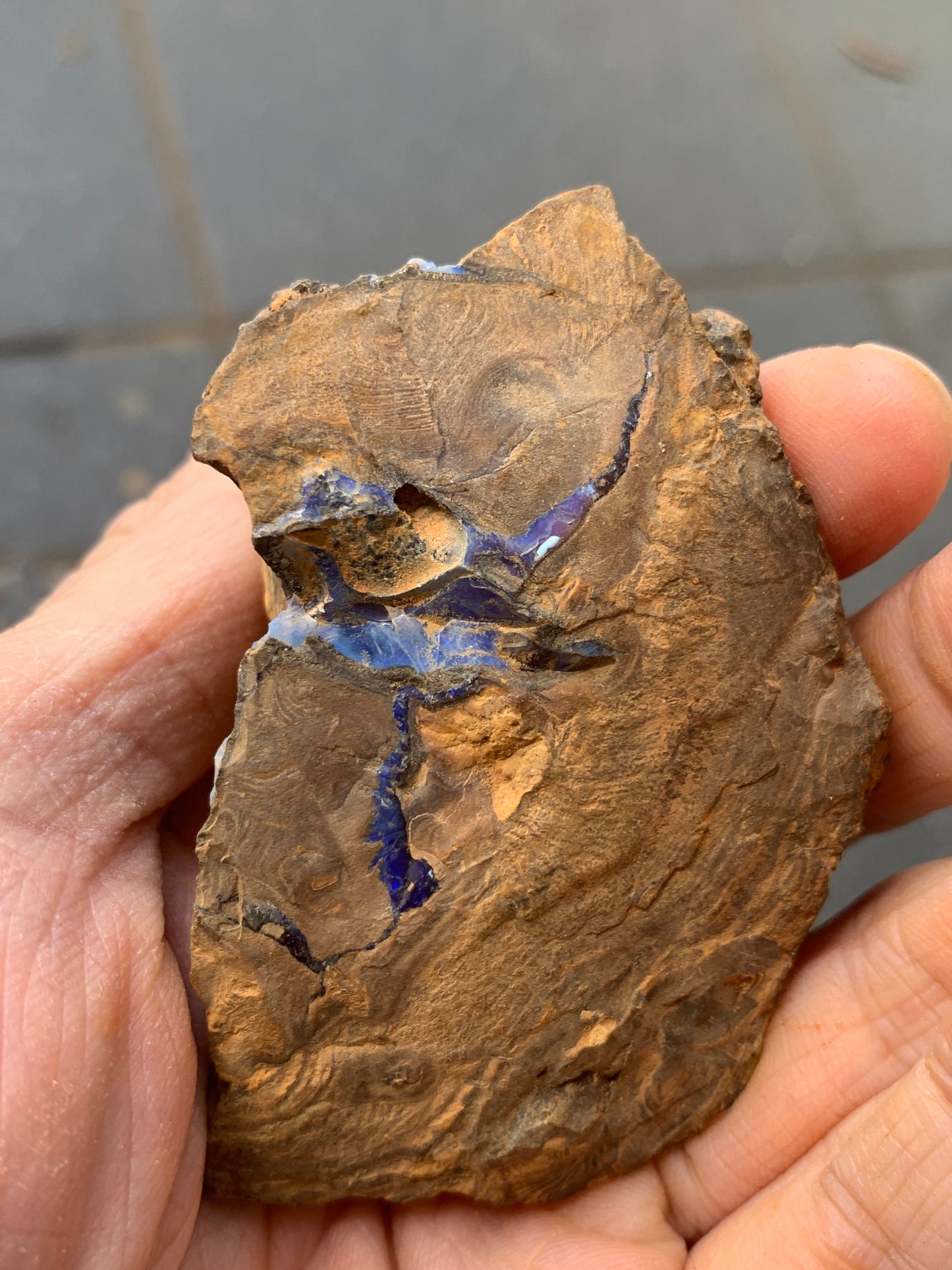 Practice Pair. Rough Boulder Opal Rocks. 355 Grams.