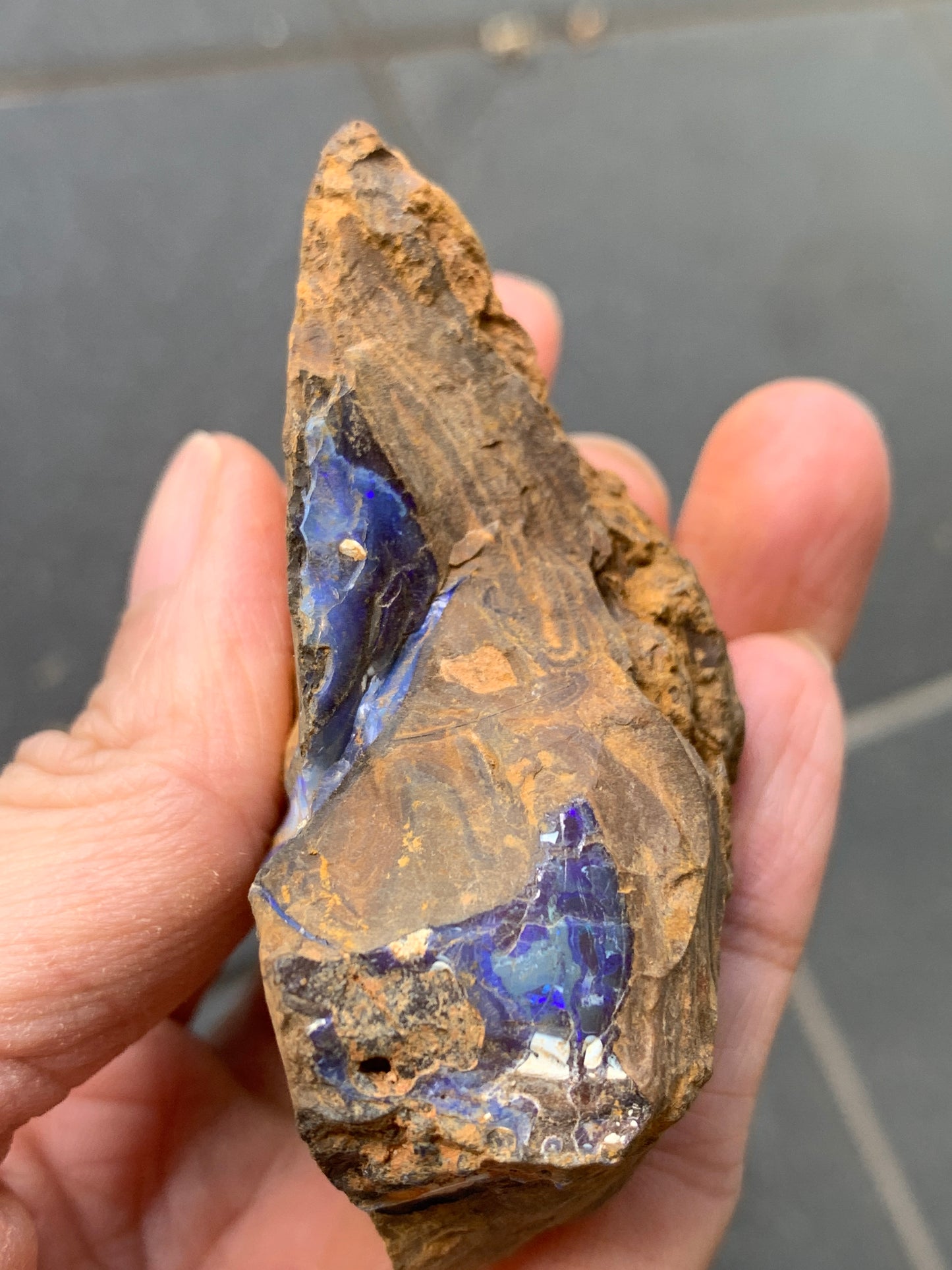 Practice Pair. Rough Boulder Opal Rocks. 355 Grams.