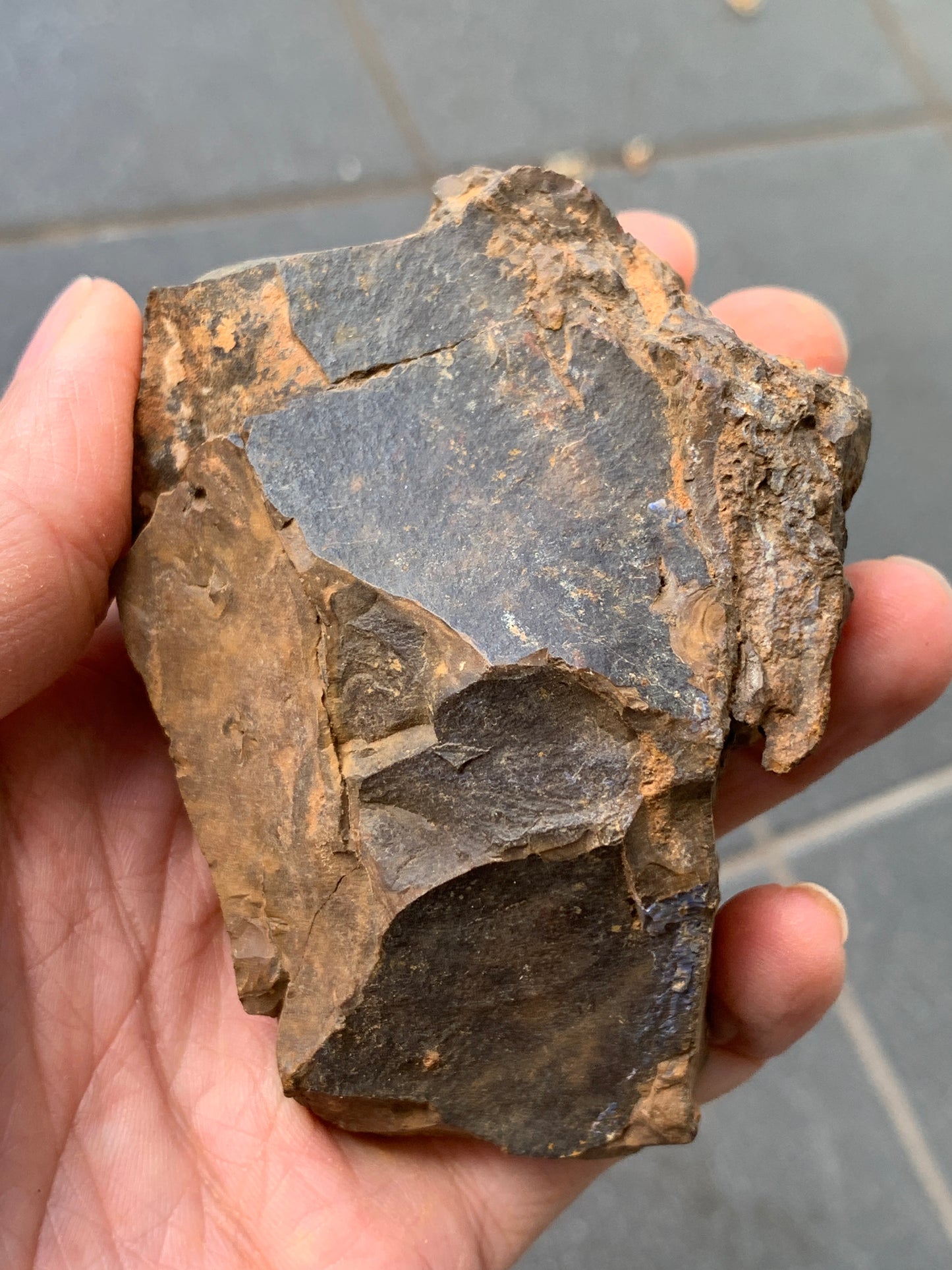 Practice Pair. Rough Boulder Opal Rocks. 355 Grams.