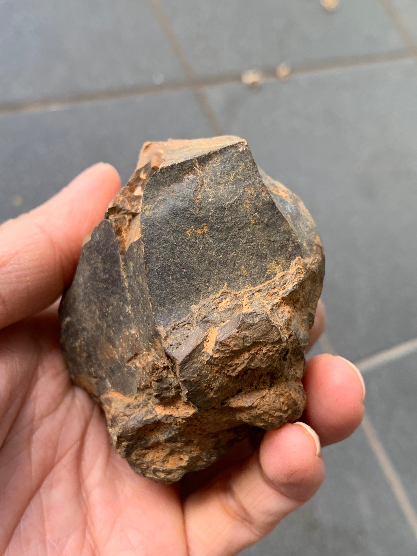 Practice Pair. Rough Boulder Opal Rocks. 355 Grams.